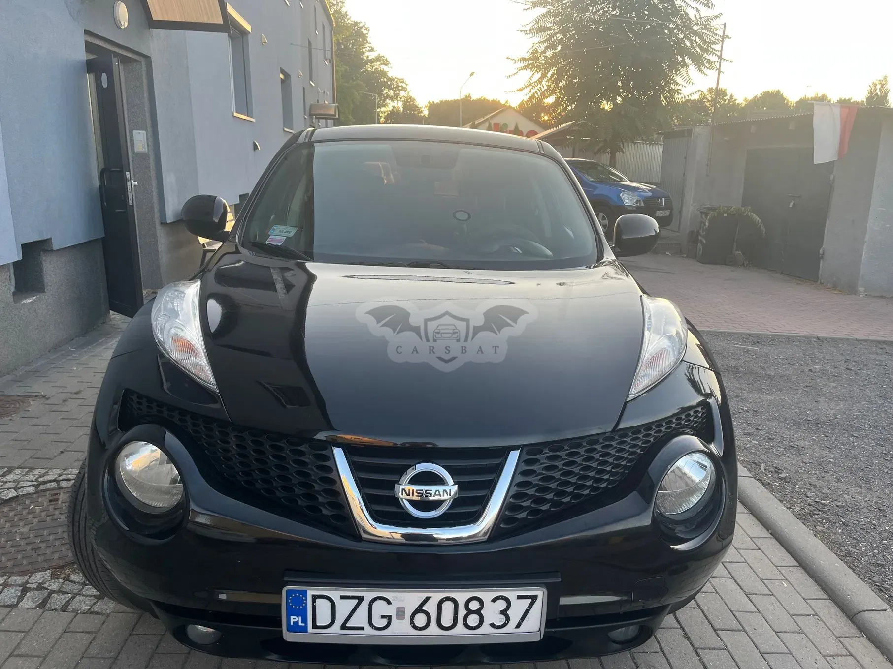 Nissan Juke I (2010-2019) 2012