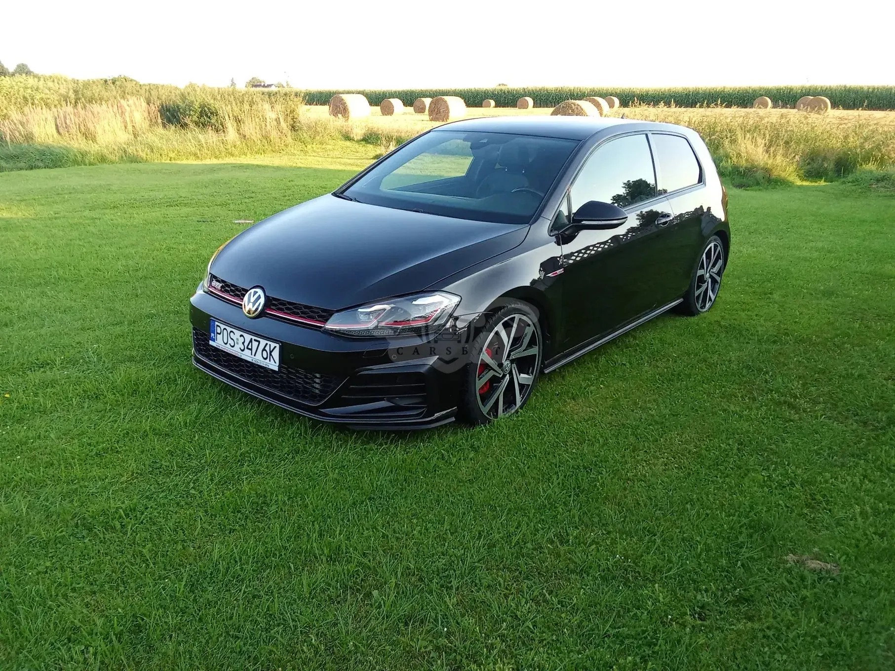 Volkswagen Golf VII (2012-2020) 2019