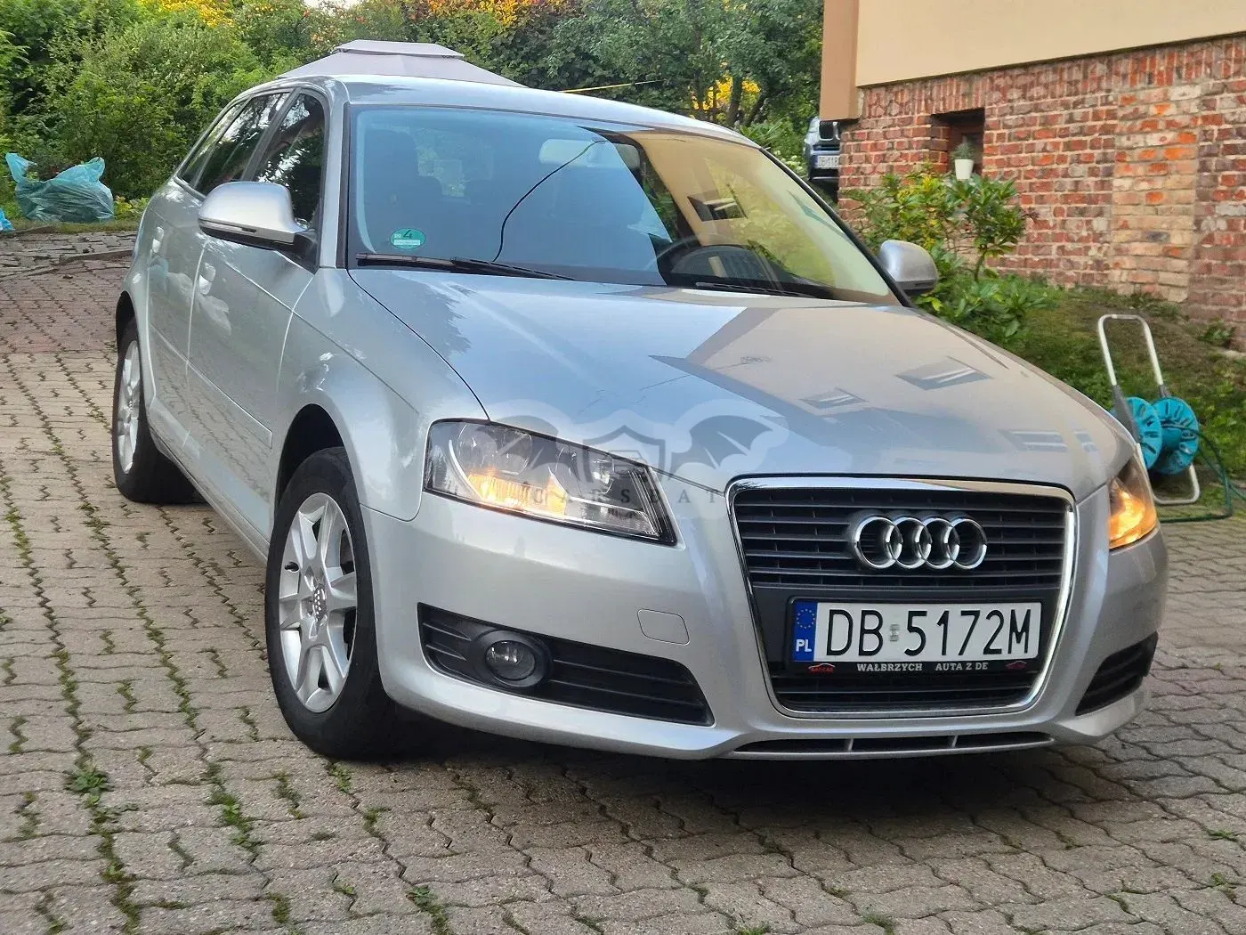 Audi A3 8P (2003-2012) 2009
