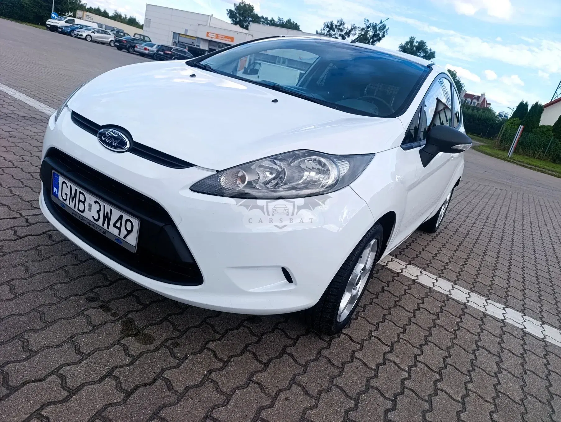 Ford Fiesta Mk7 (2008-) 2010