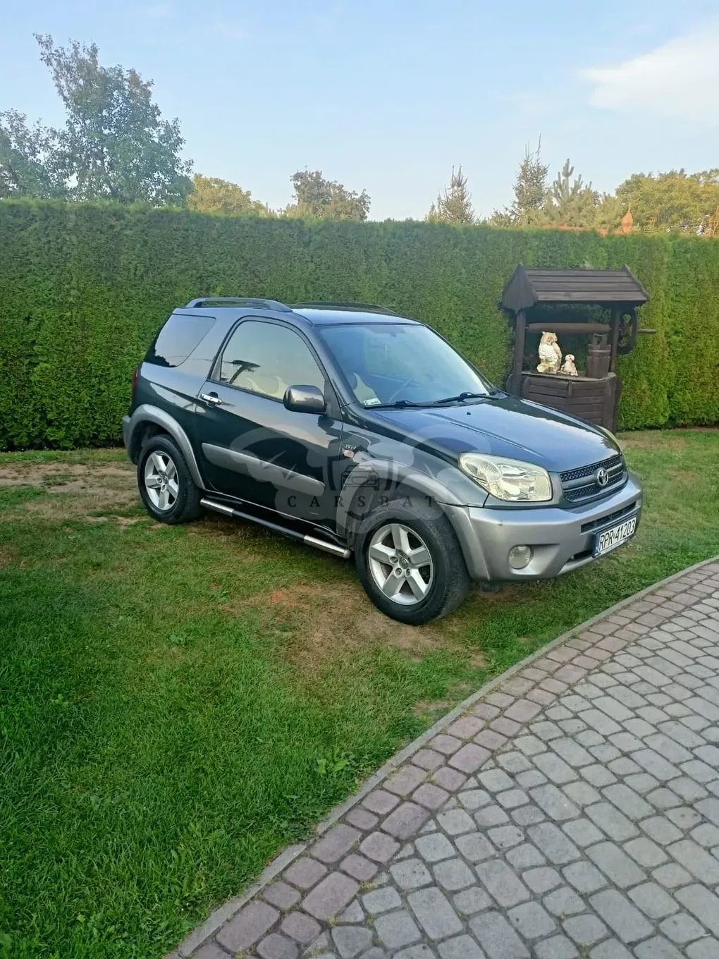 Toyota Rav4 II (2000-2005) 2003