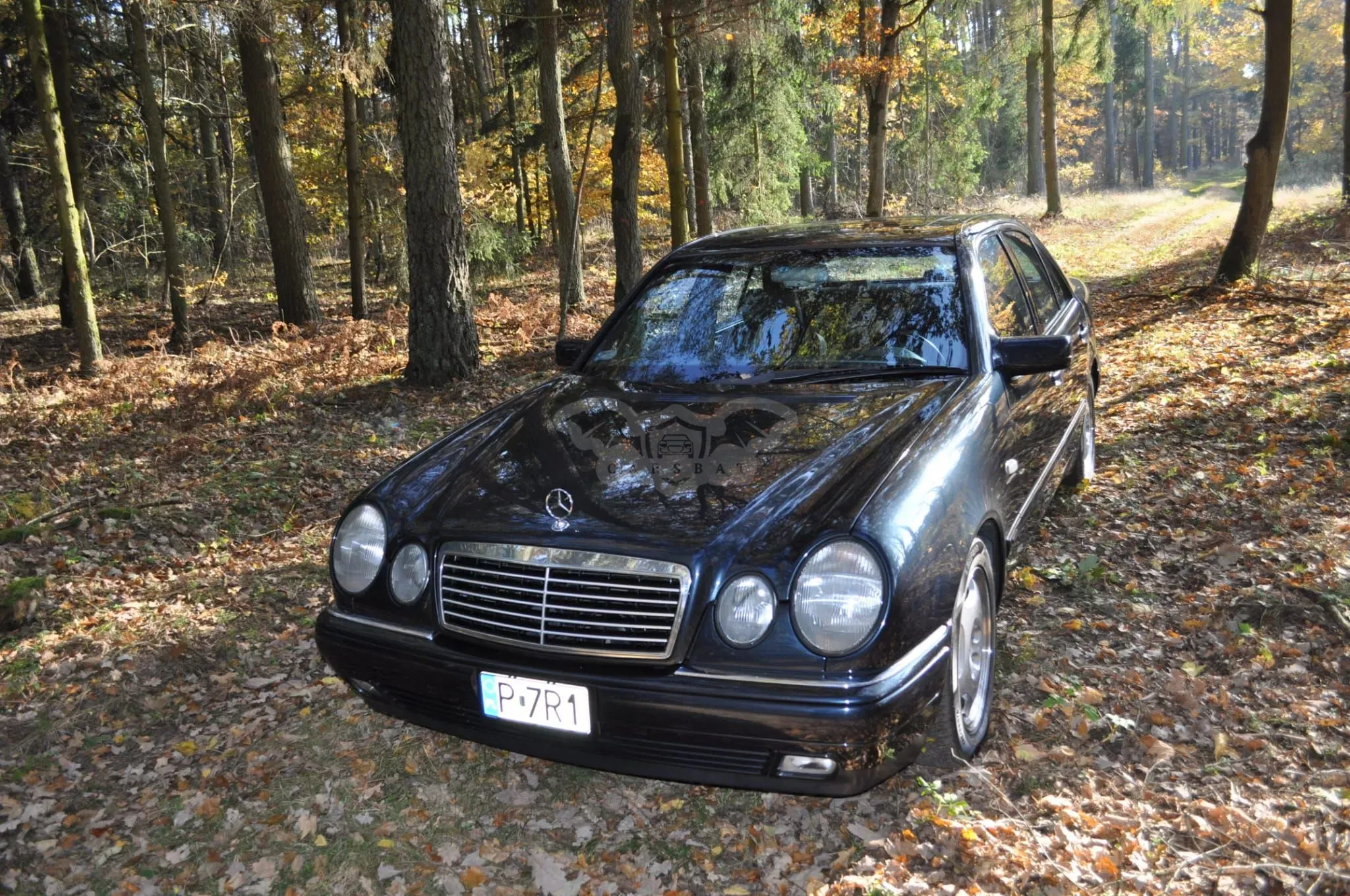 Mercedes-Benz E W210 (1995-2002) 420 Avantgarde 1997