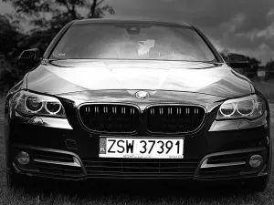 BMW 5 Series F10/F11 (2009-2017) 525d xDrive 2014