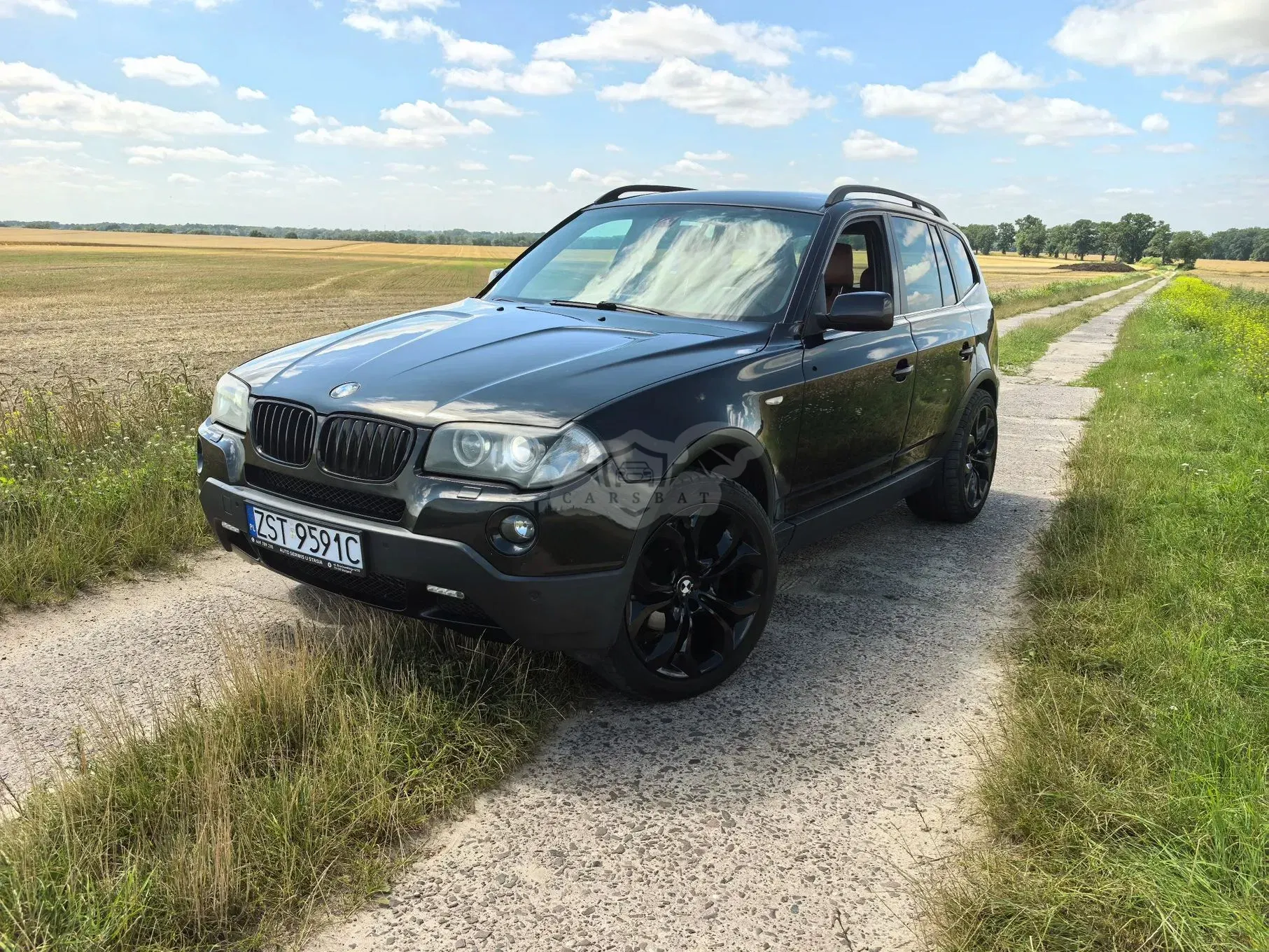 BMW X3 E83 (2003-2010) xDrive30d 2007