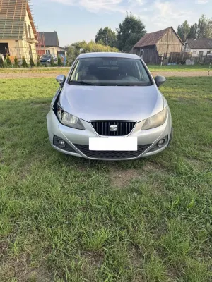 Seat Ibiza IV (2008-2017) 2010