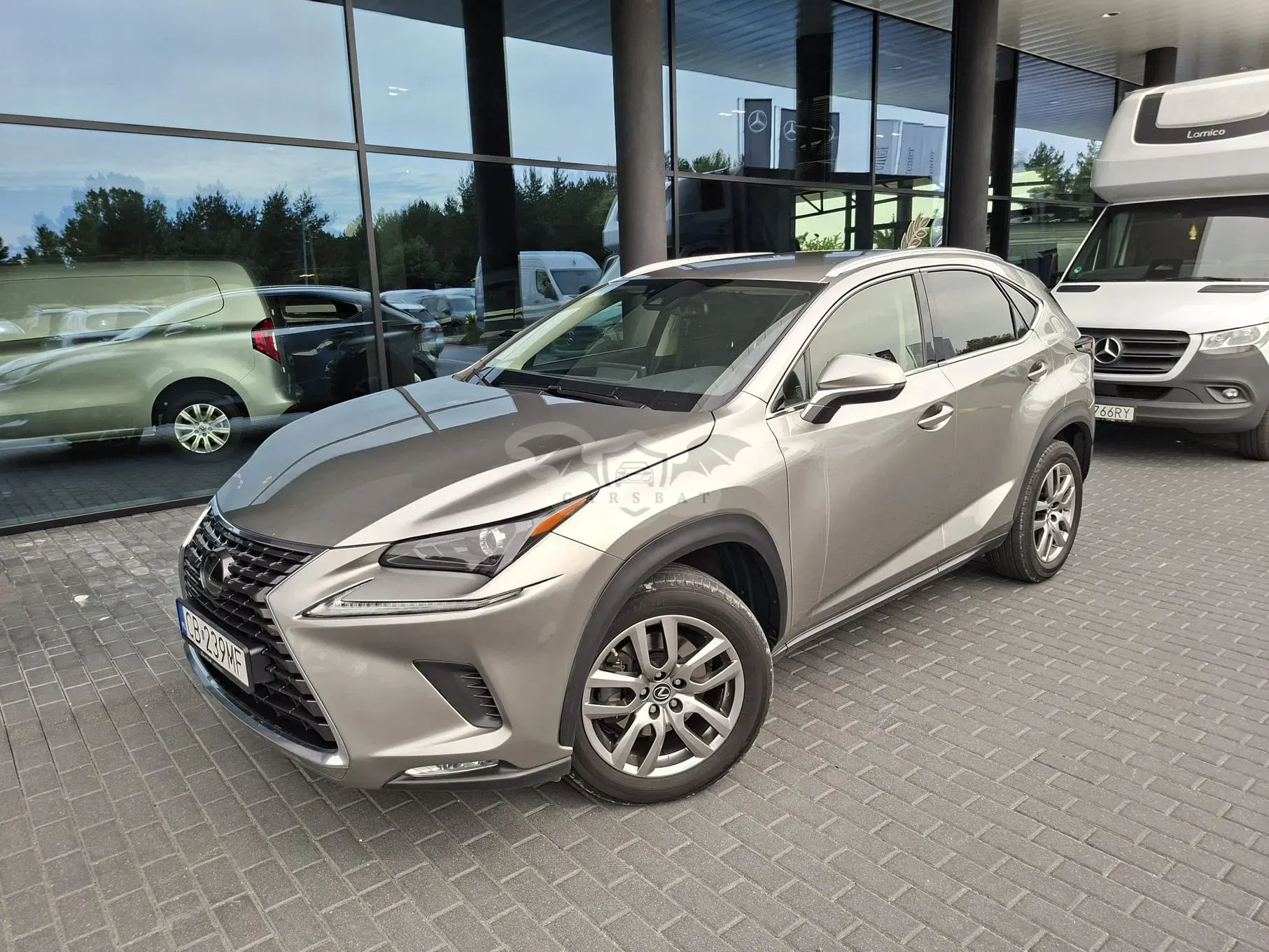 Lexus NX I (2014-2021) 300 Business Edition AWD 2020