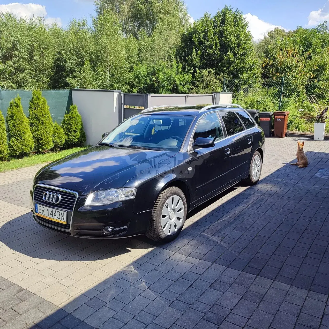 Audi A4 B7 (2004-2007) 2 2007