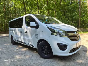 Opel Vivaro II (2014-2019) L2H1 2,9t Elegance Premium 2015