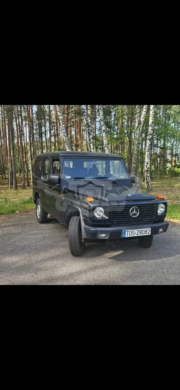 Mercedes-Benz G W463 (1989-2017) 1991