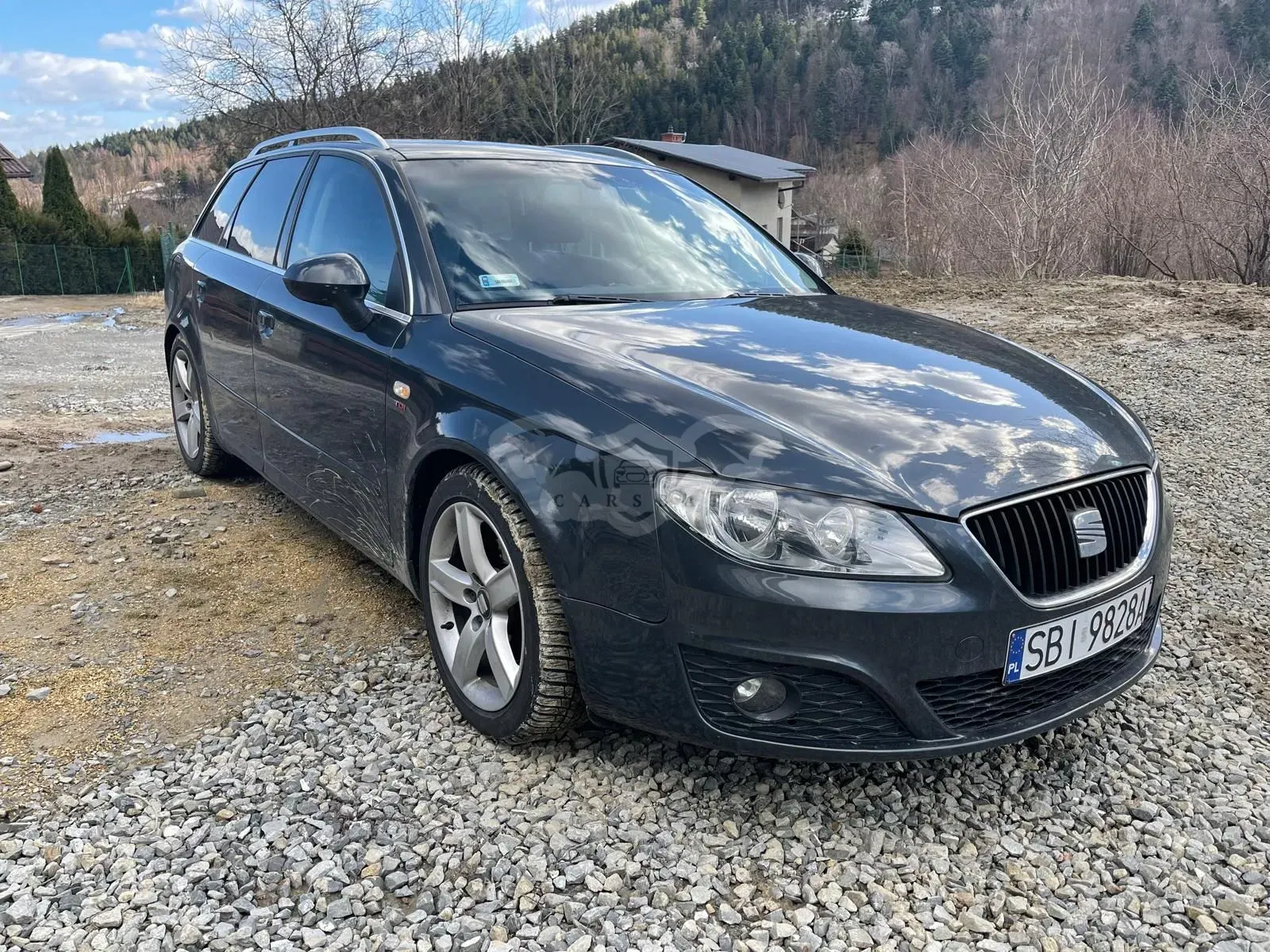 Seat Exeo 2.0 TDI DPF Sport 2010