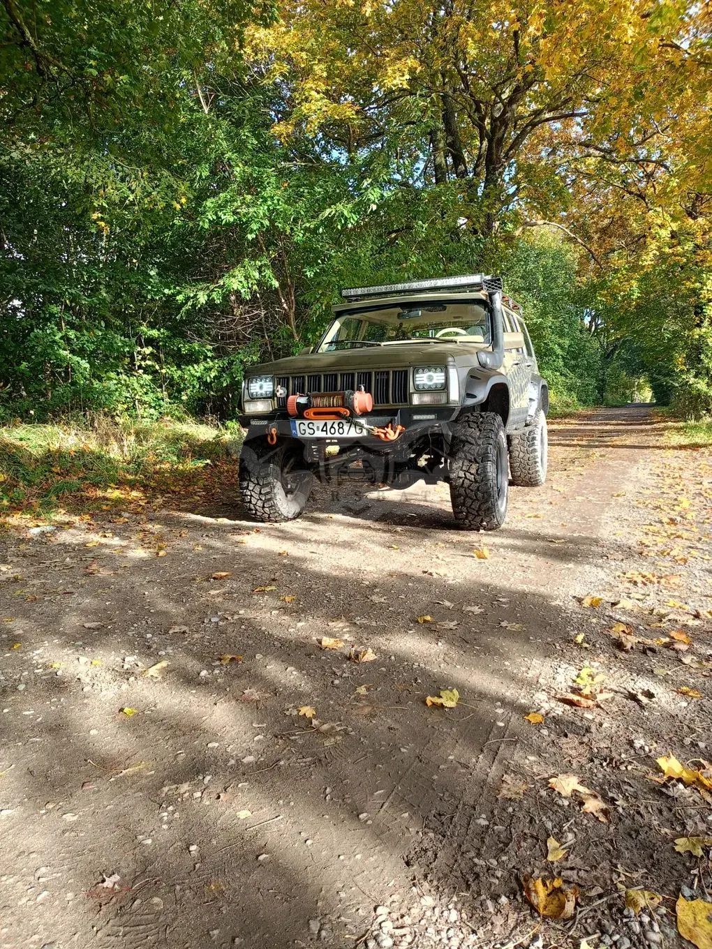 Jeep Cherokee II (1983-2001) 4.0 Limited 1991