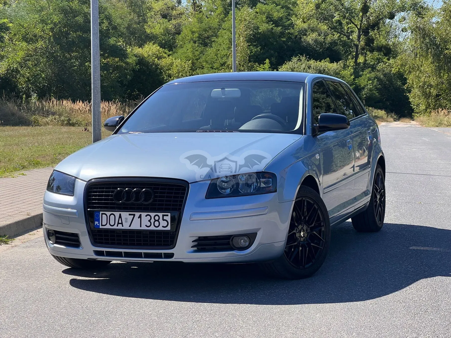 Audi A3 8P (2003-2012) 2006