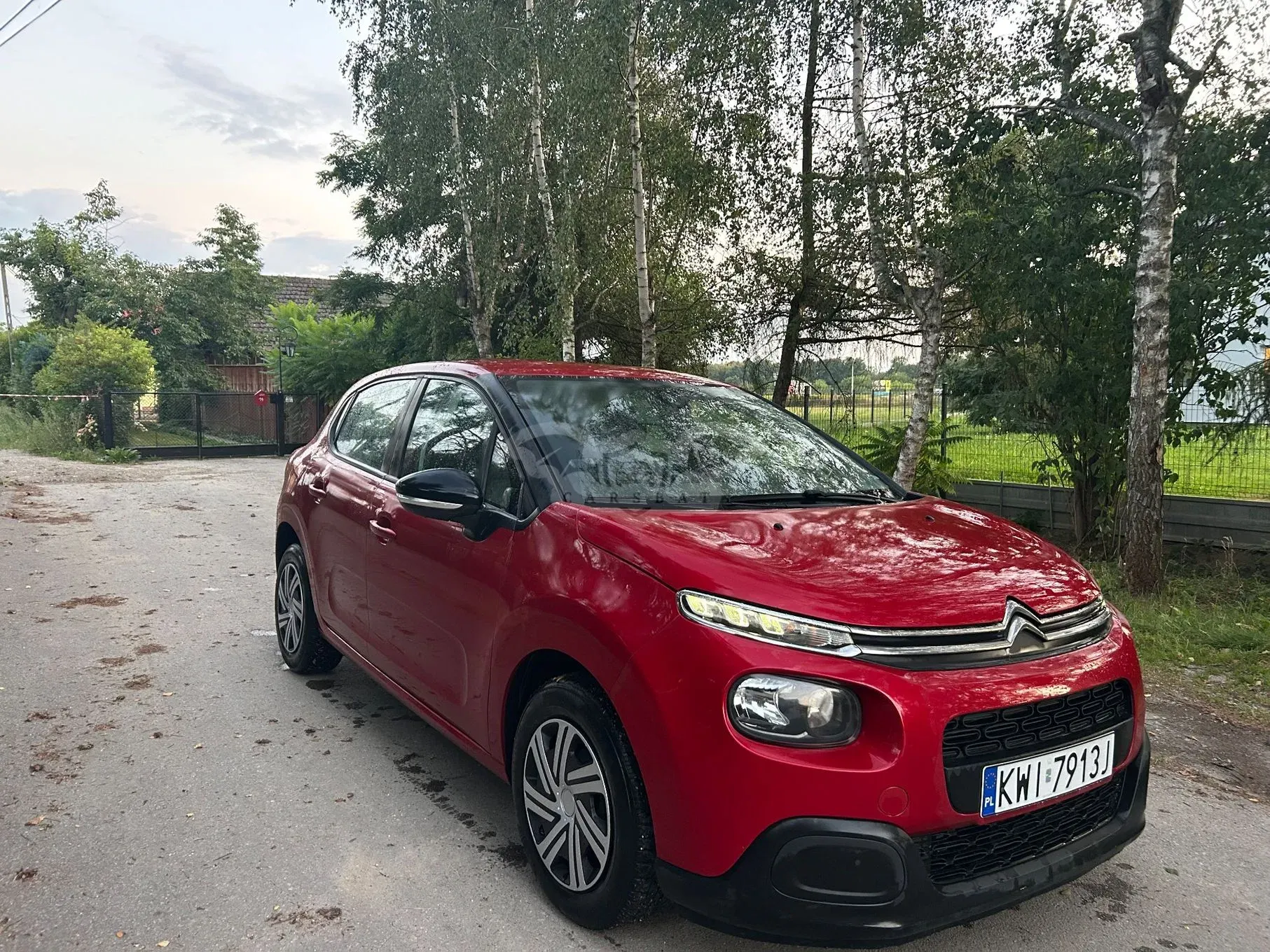 Citroën C3 III (2016-2024) 2019