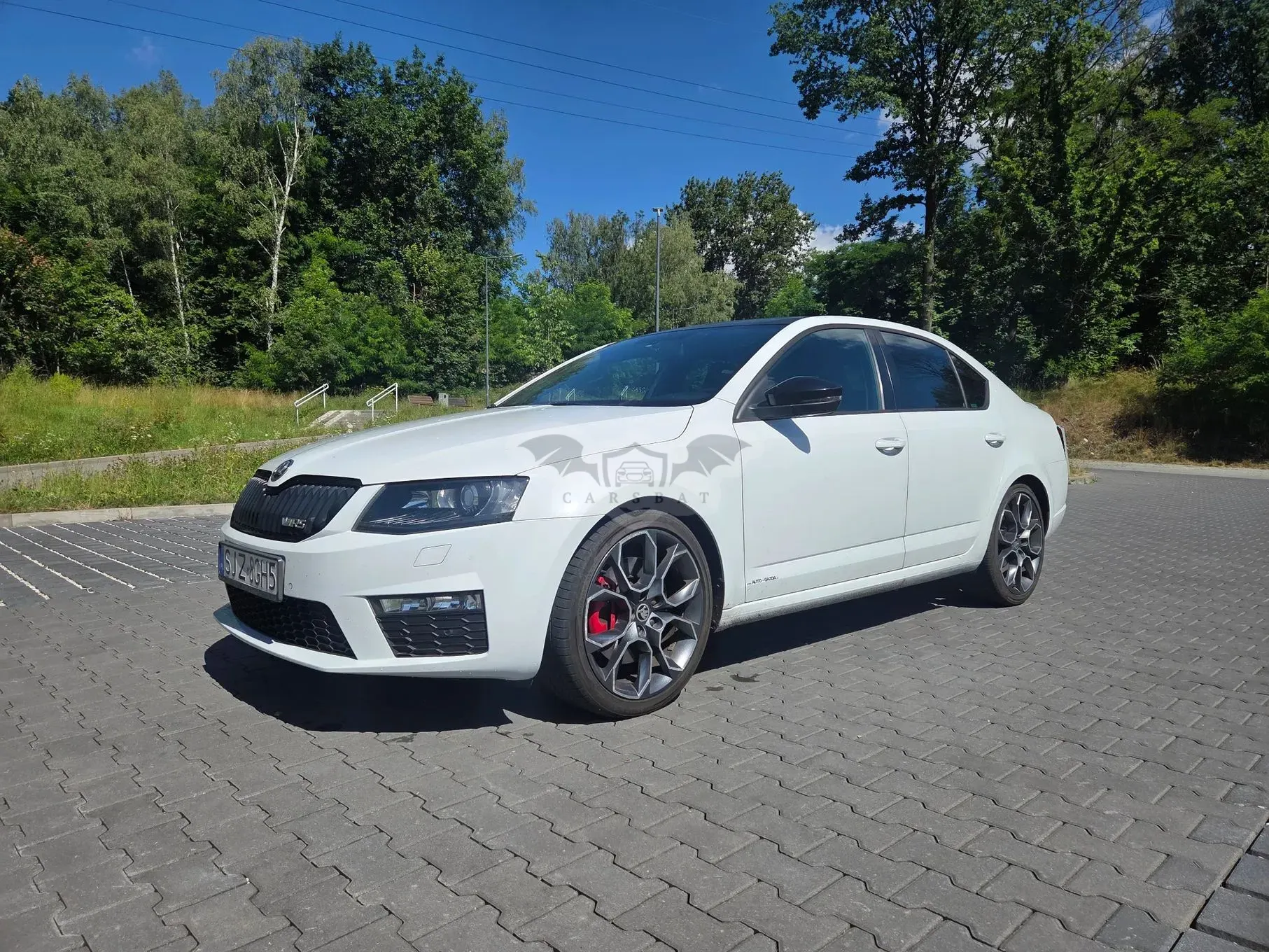 Skoda Octavia III (2013-) 2.0 TSI RS 2014