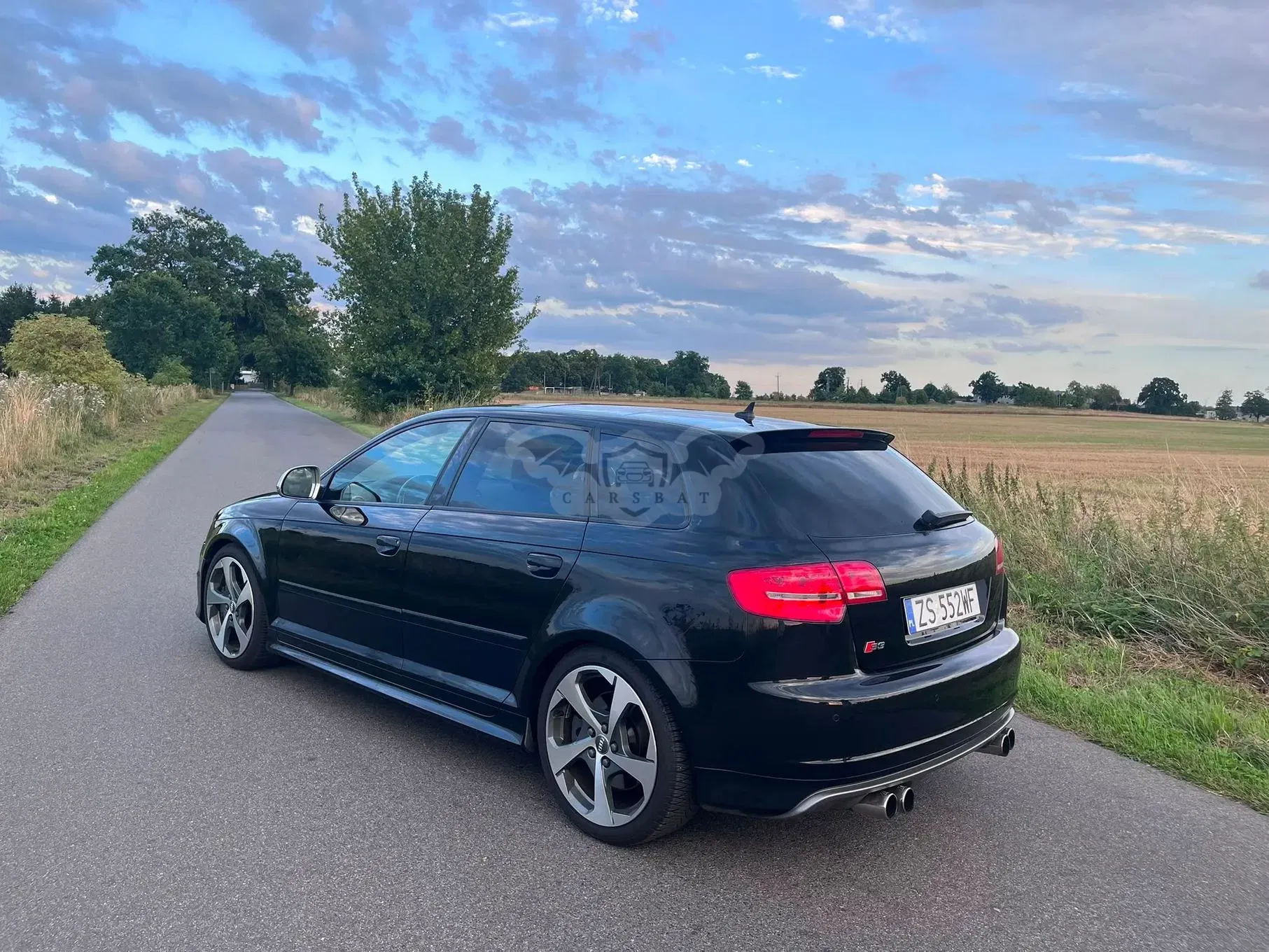 Audi S3 8P (2003-2012) 2.0 TFSI Quattro S tronic 2009
