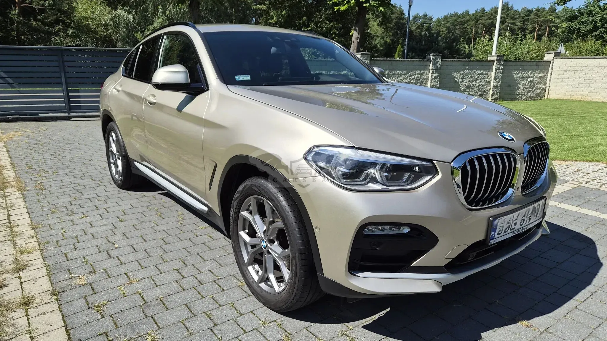 BMW X4 G02 (2018-) xDrive20d xLine 2019