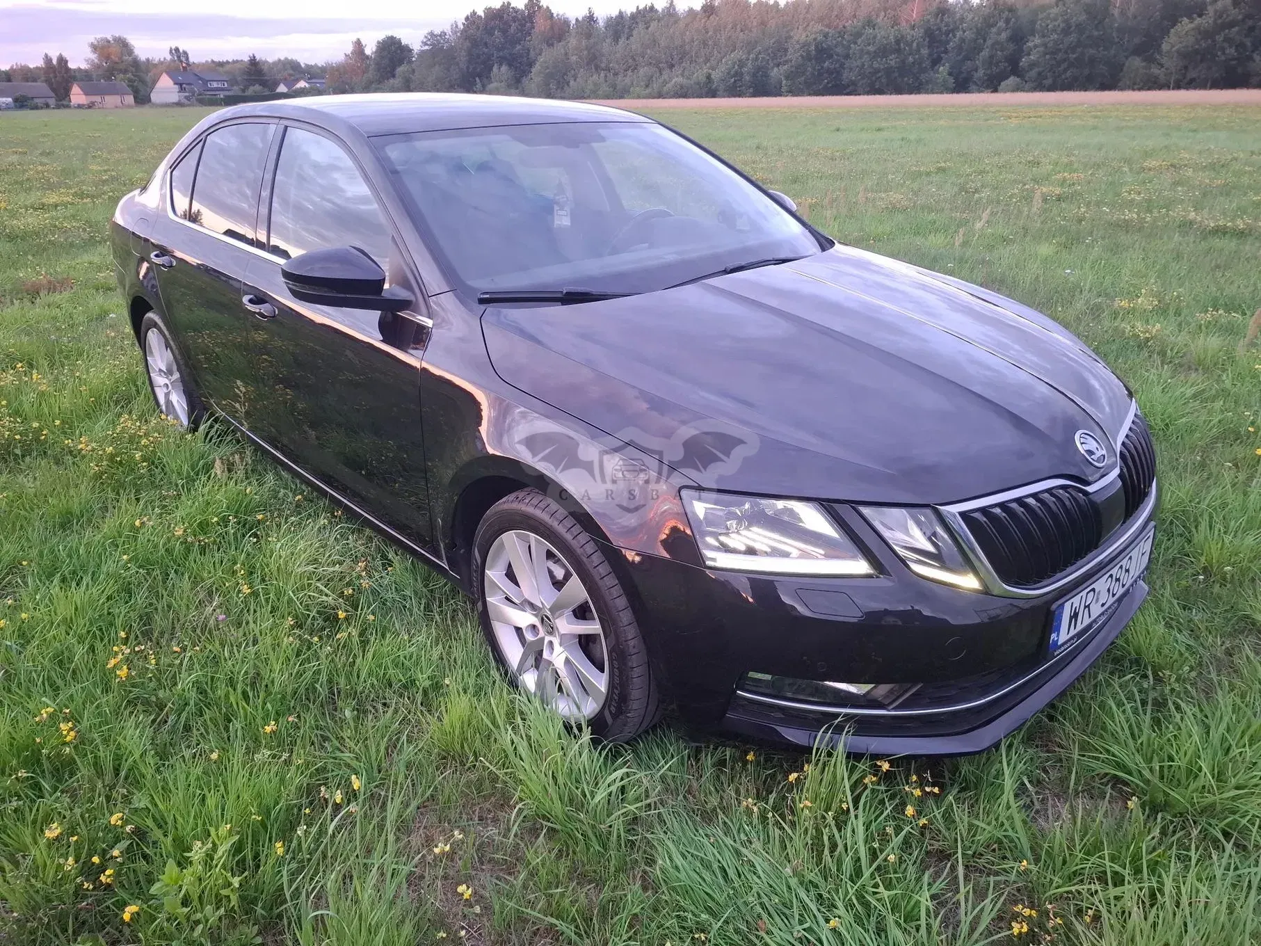 Skoda Octavia III (2013-) 2.0 TDI Style 2019