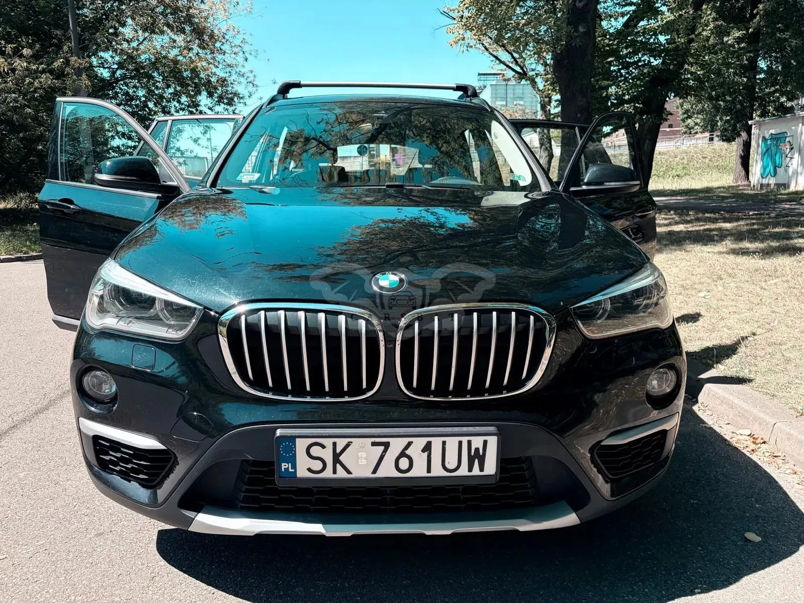 BMW X1 F48 (2015-2022) sDrive18d xLine 2016