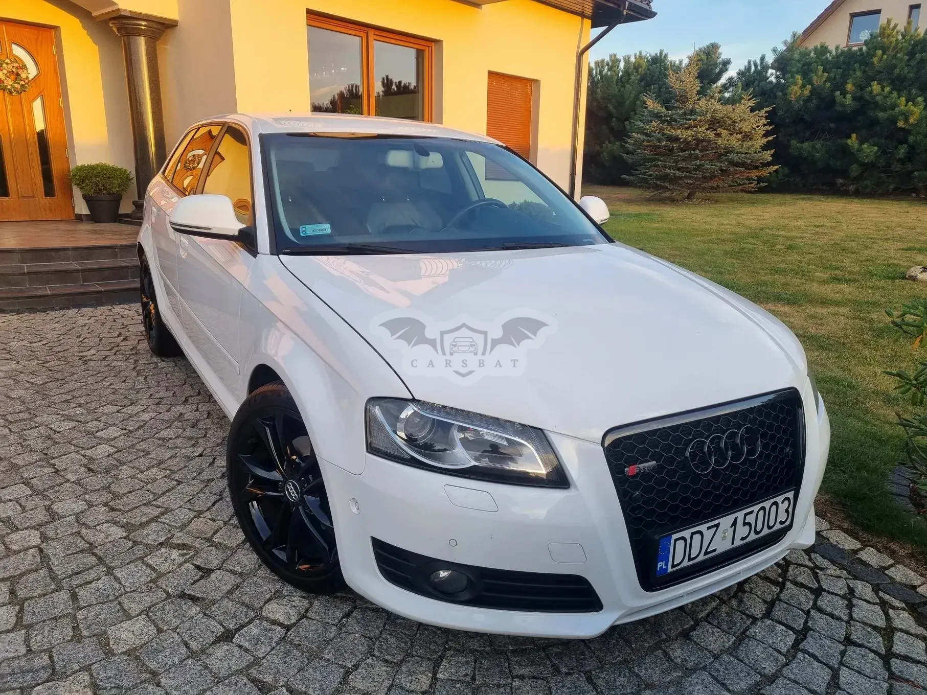 Audi A3 8P (2003-2012) 2008