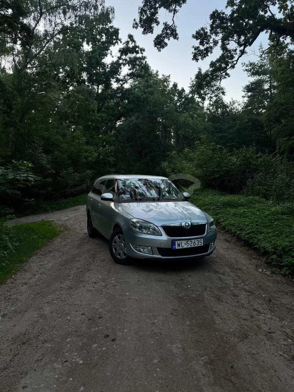 Skoda Fabia II (2007-2014) 1.6 TDI DPF Fresh Plus 2013