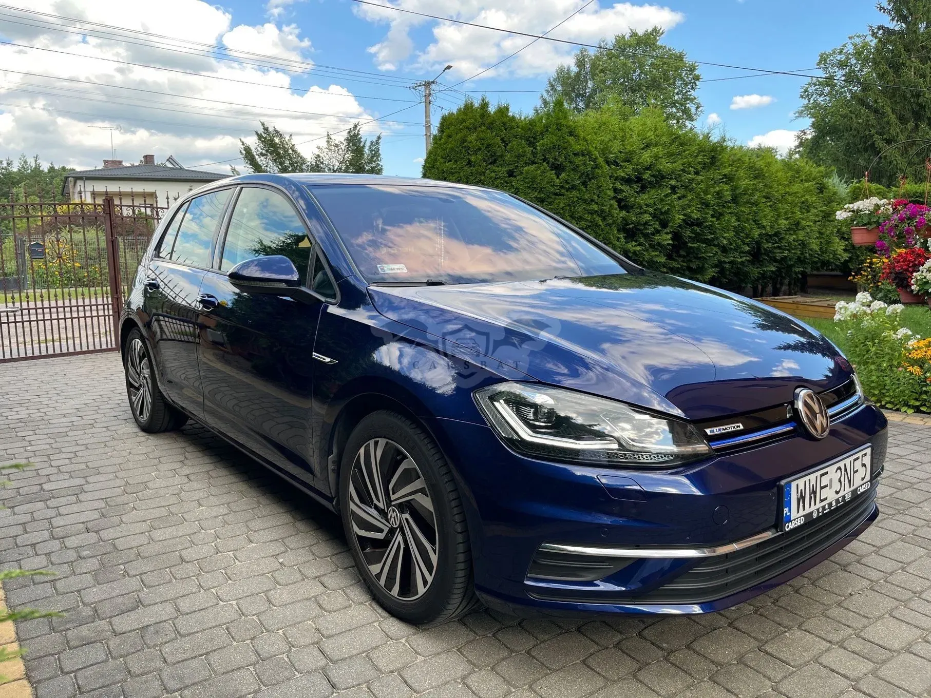 Volkswagen Golf VII (2012-2020) 1.5 TSI BMT Highline DSG 2019