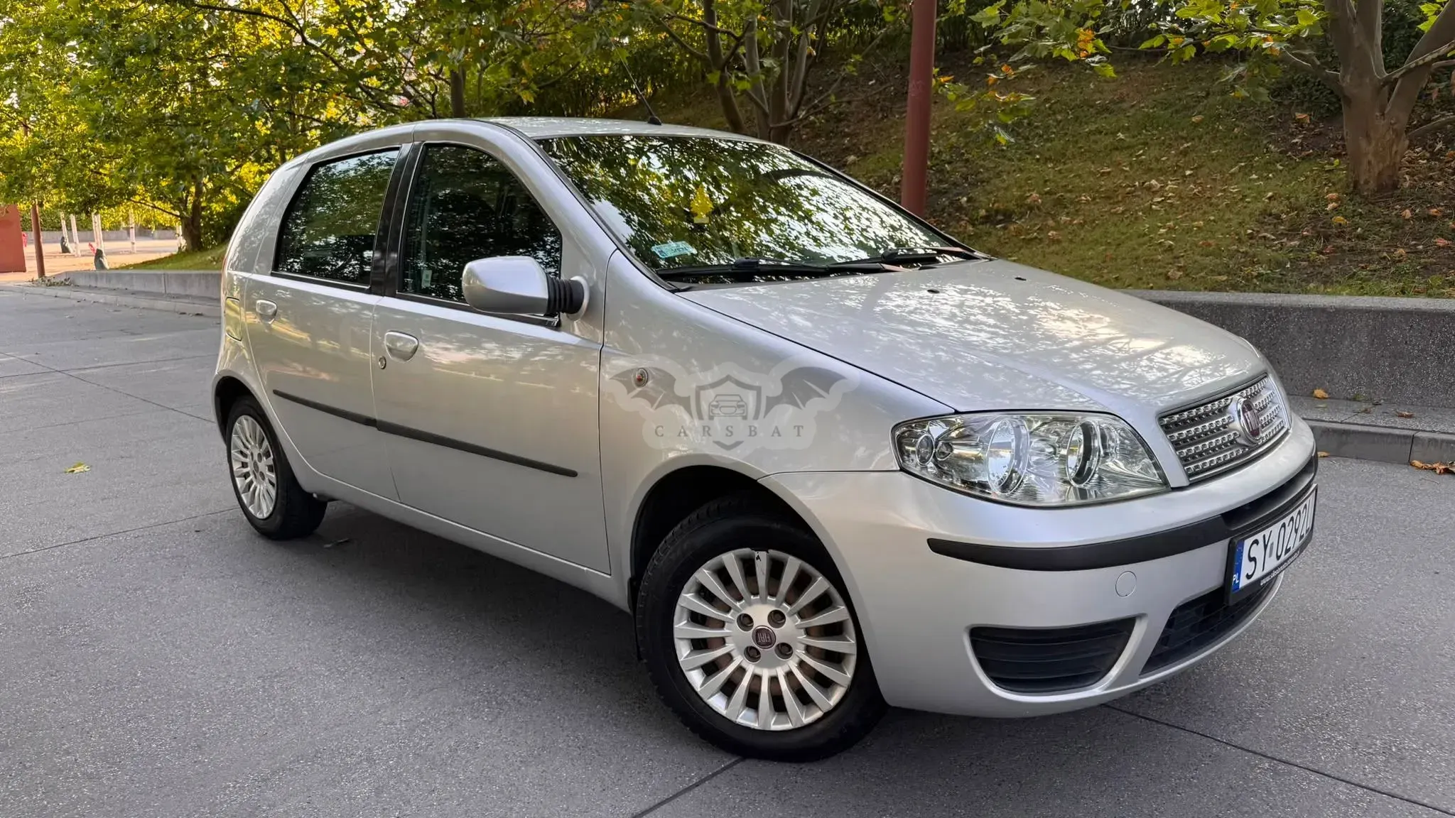 Fiat Punto II FL (2003-) 2010