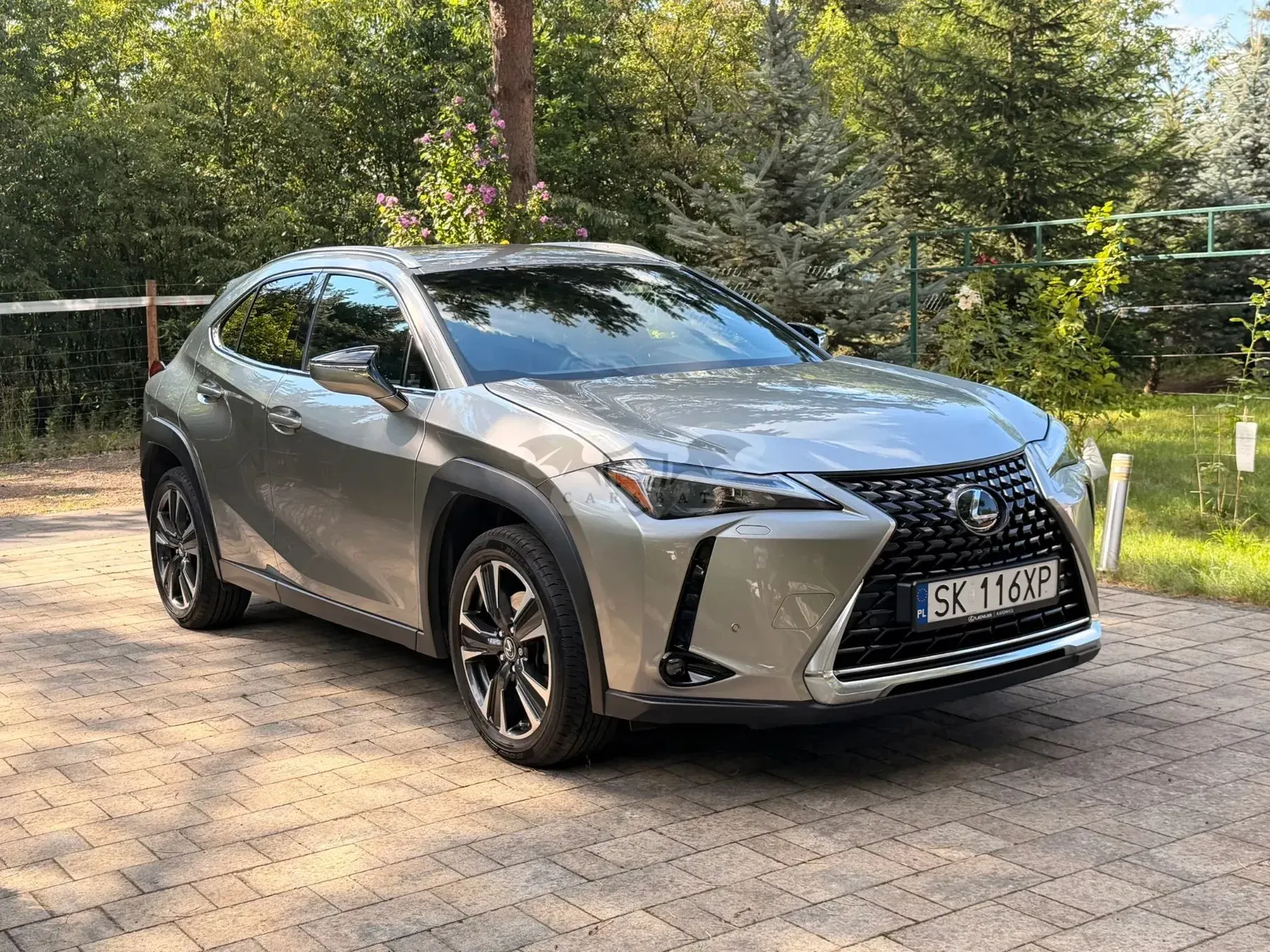 Lexus UX 250h GPF Business 2WD 2023