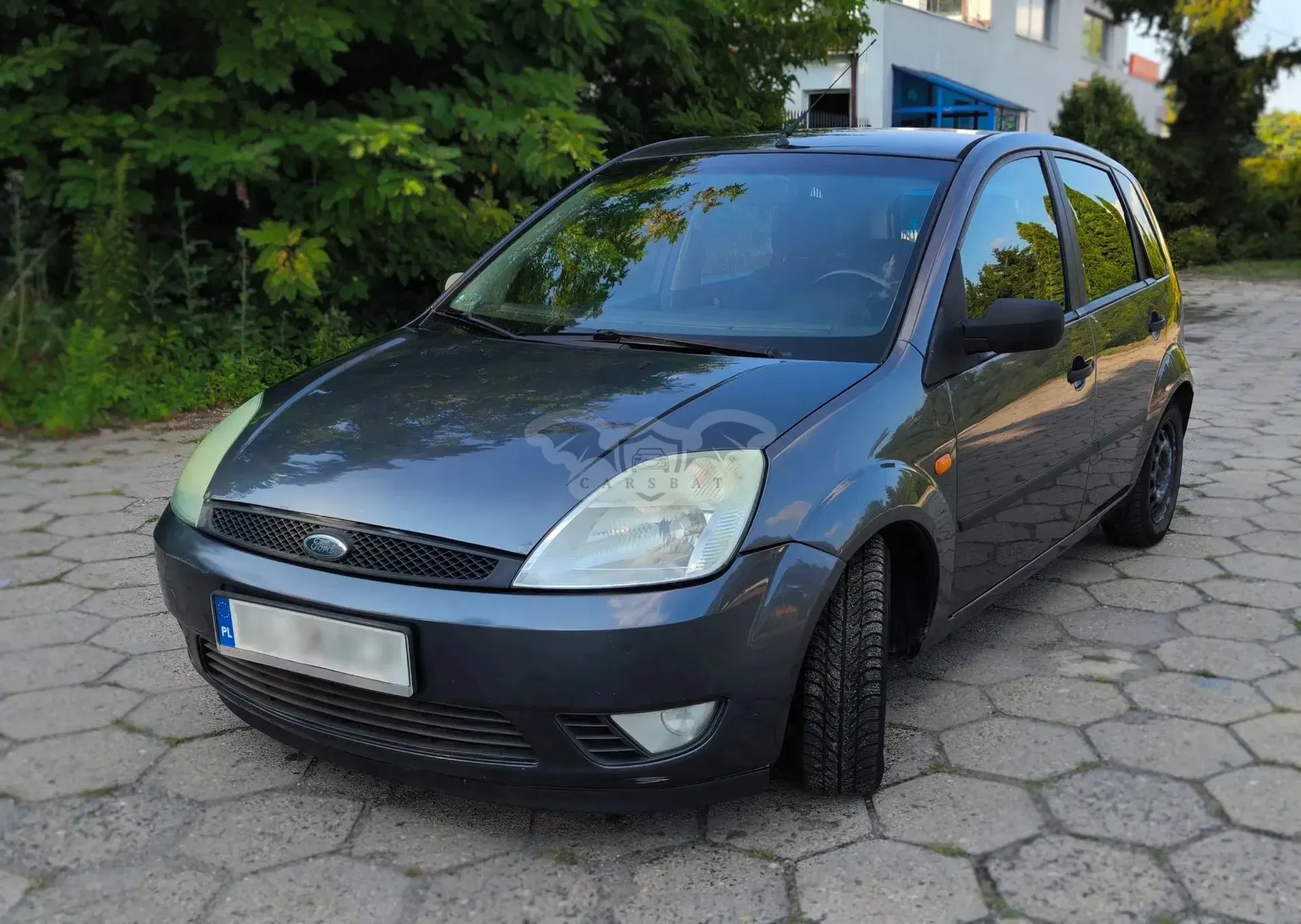 Ford Fiesta Mk6 (2002-2008) 1.4 TDCi Trend 2004