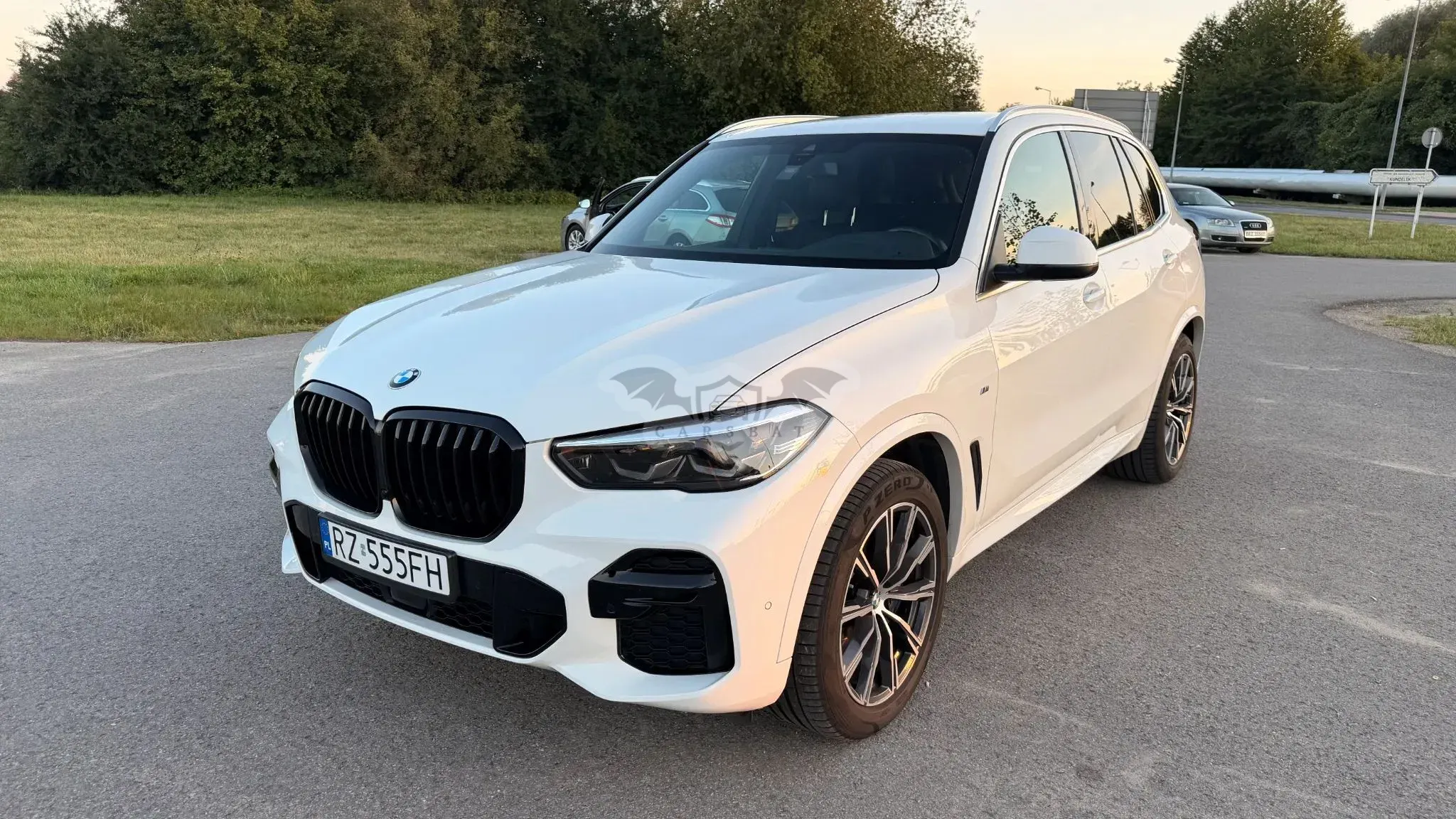 BMW X5 G05 (2018-) xDrive25d sport 2022