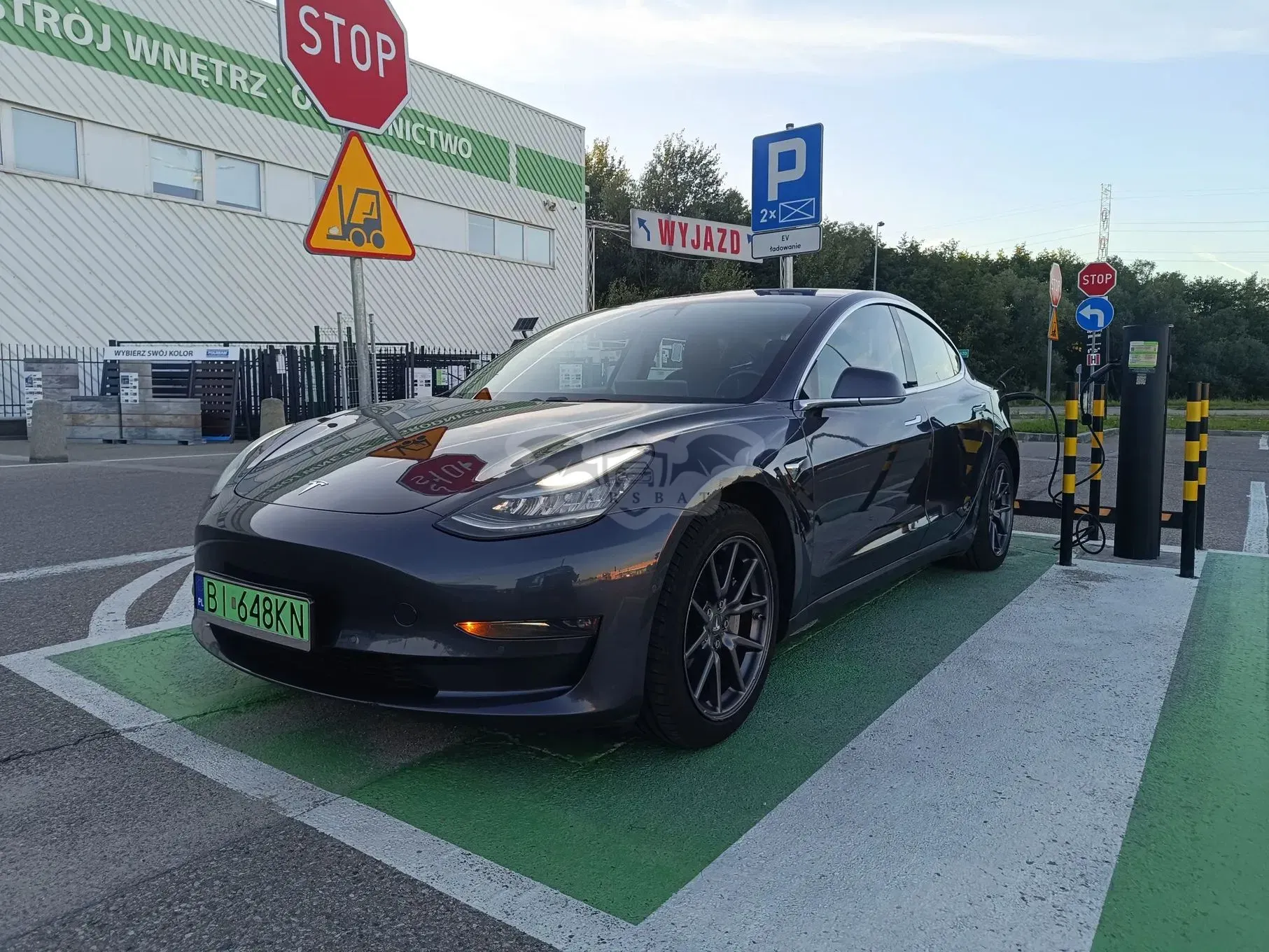 Tesla Model 3 2019