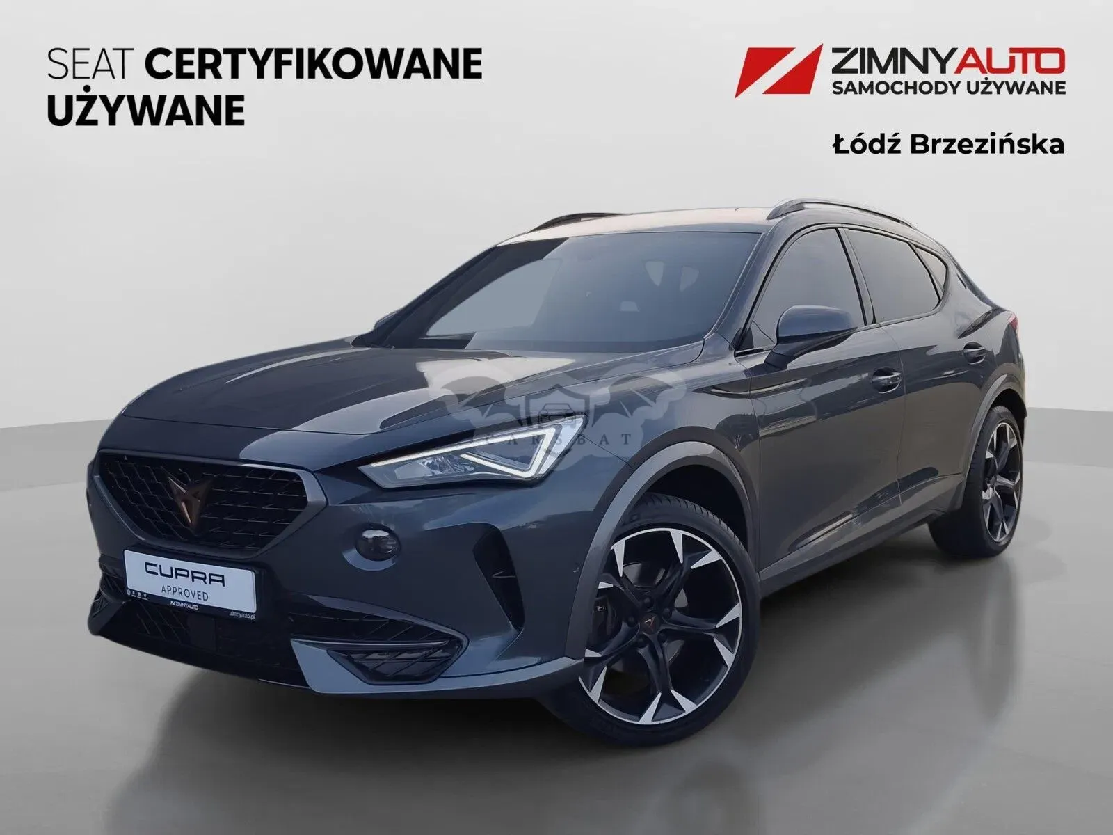 Cupra Formentor 1.5 TSI DSG 2023