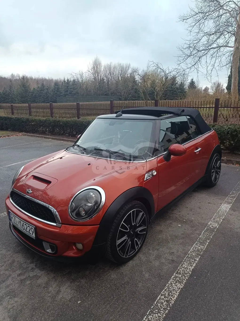 Mini Cooper Standard 2010