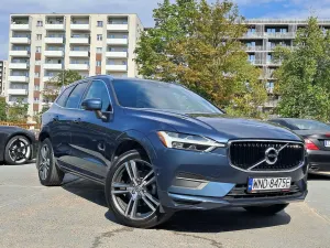Volvo XC60 II (2017-) T5 GPF Momentum 2019