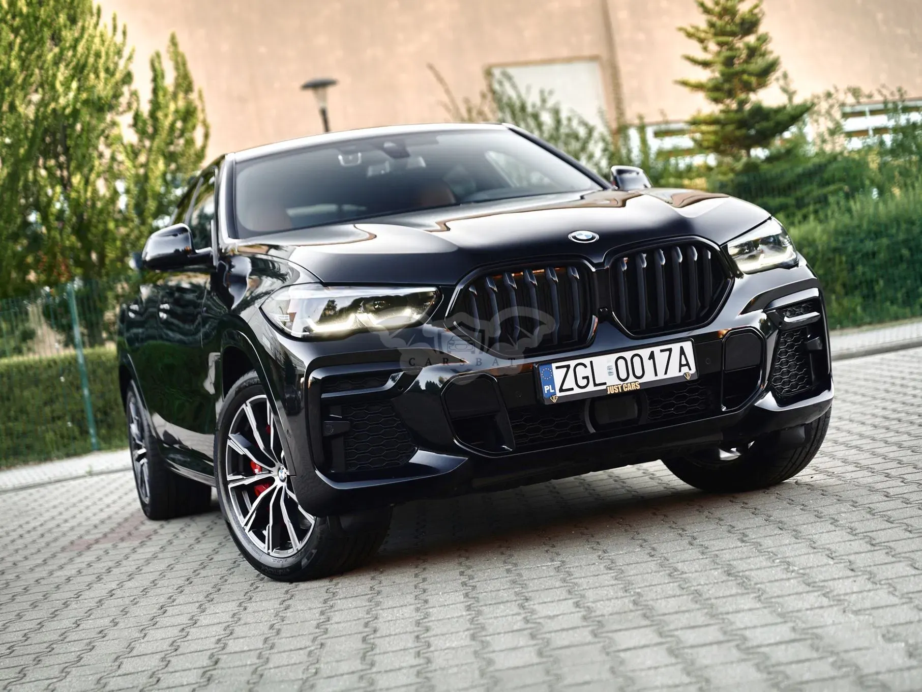 BMW X6 G06 (2019-) xDrive40d mHEV 2022