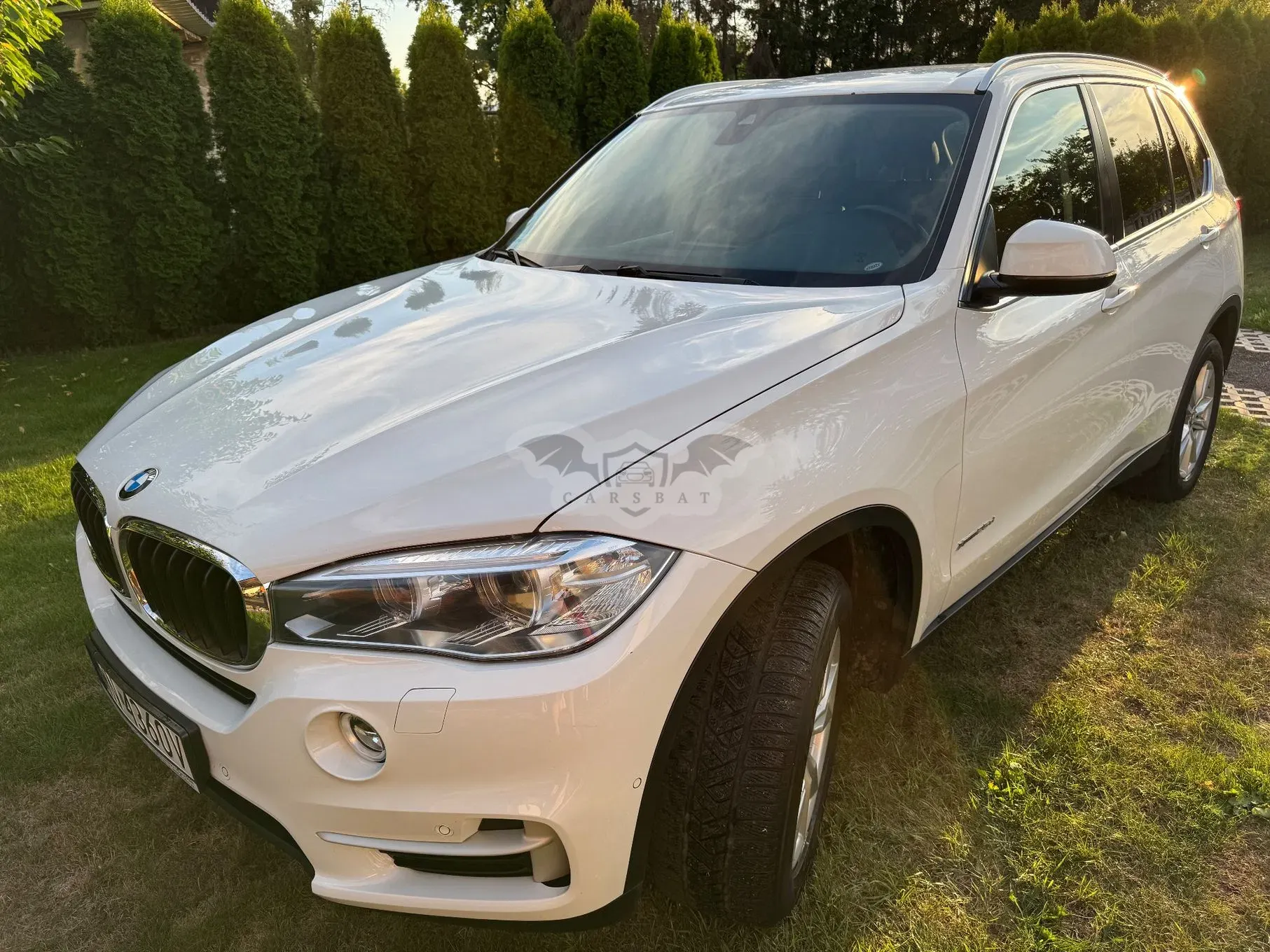 BMW X5 F15 (2013-2018) xDrive25d 2017