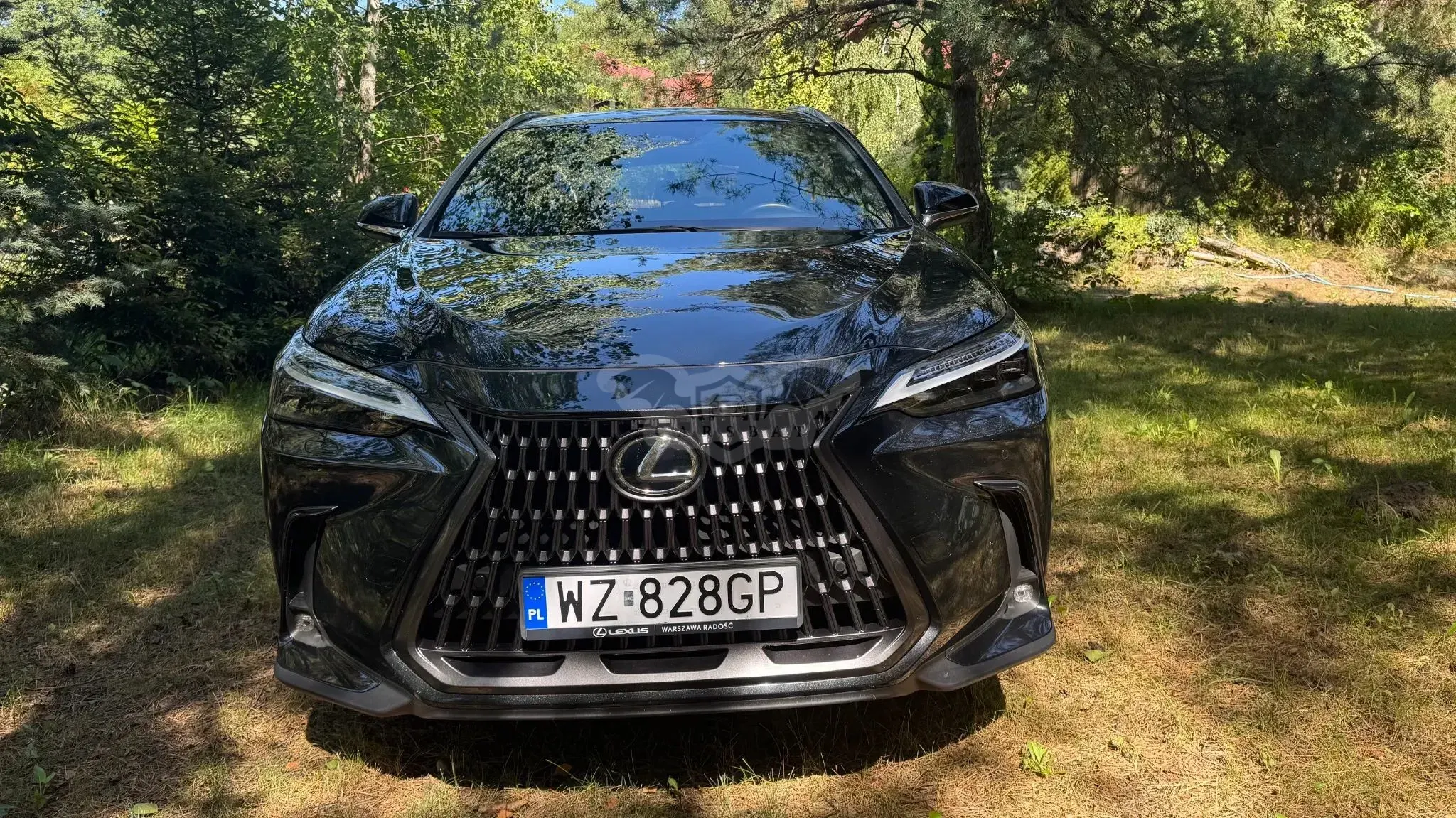 Lexus NX II (2021-) 350h Prestige AWD 2023