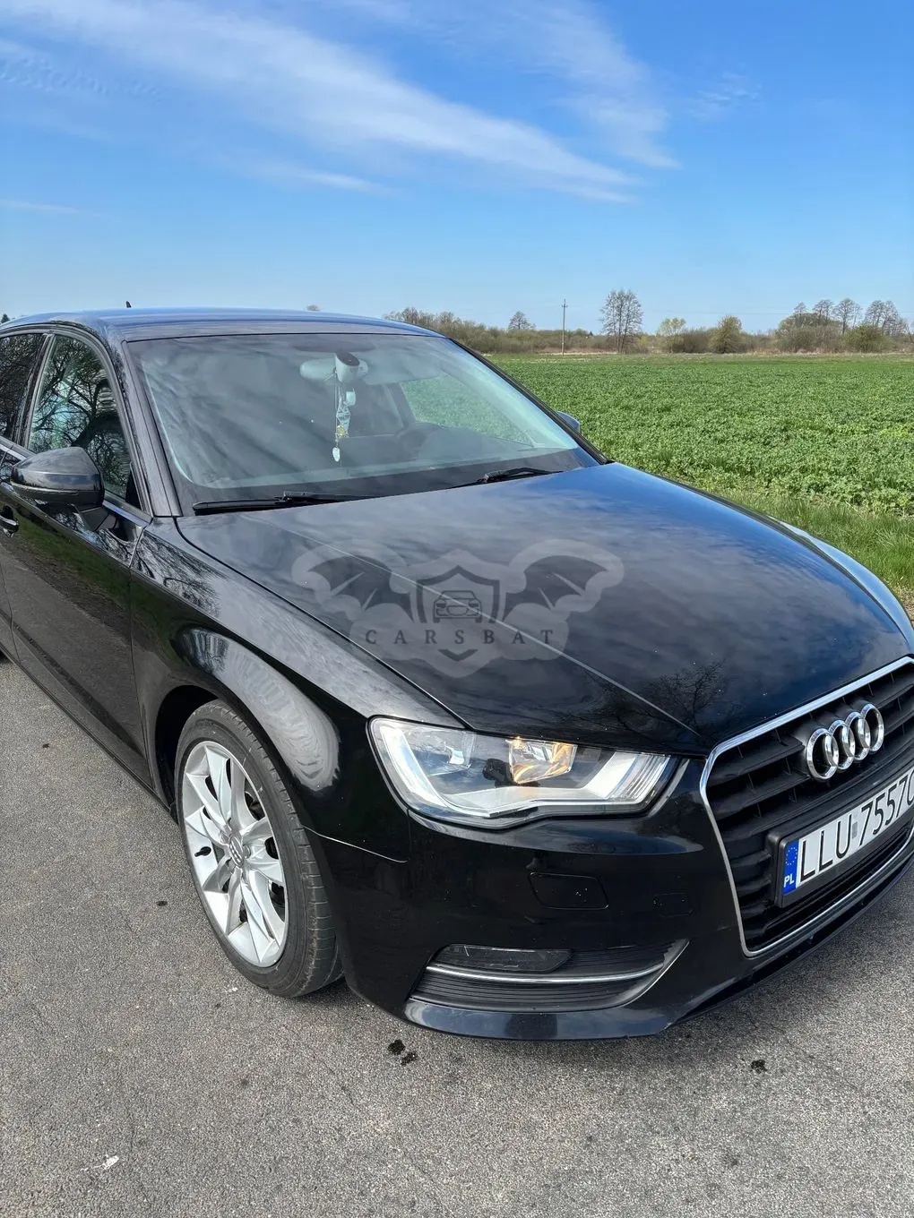 Audi A3 8V (2012-) 1.6 TDI 2014