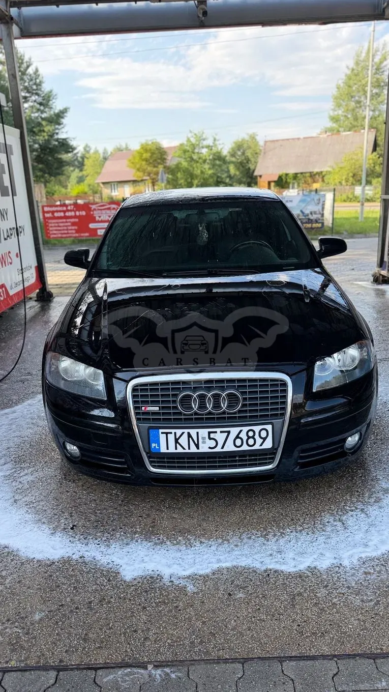 Audi A3 8P (2003-2012) 2.0 TDI DPF Ambiente 2006