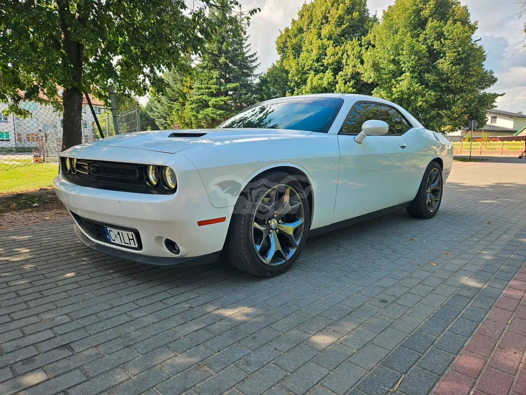 Dodge Challenger 2017