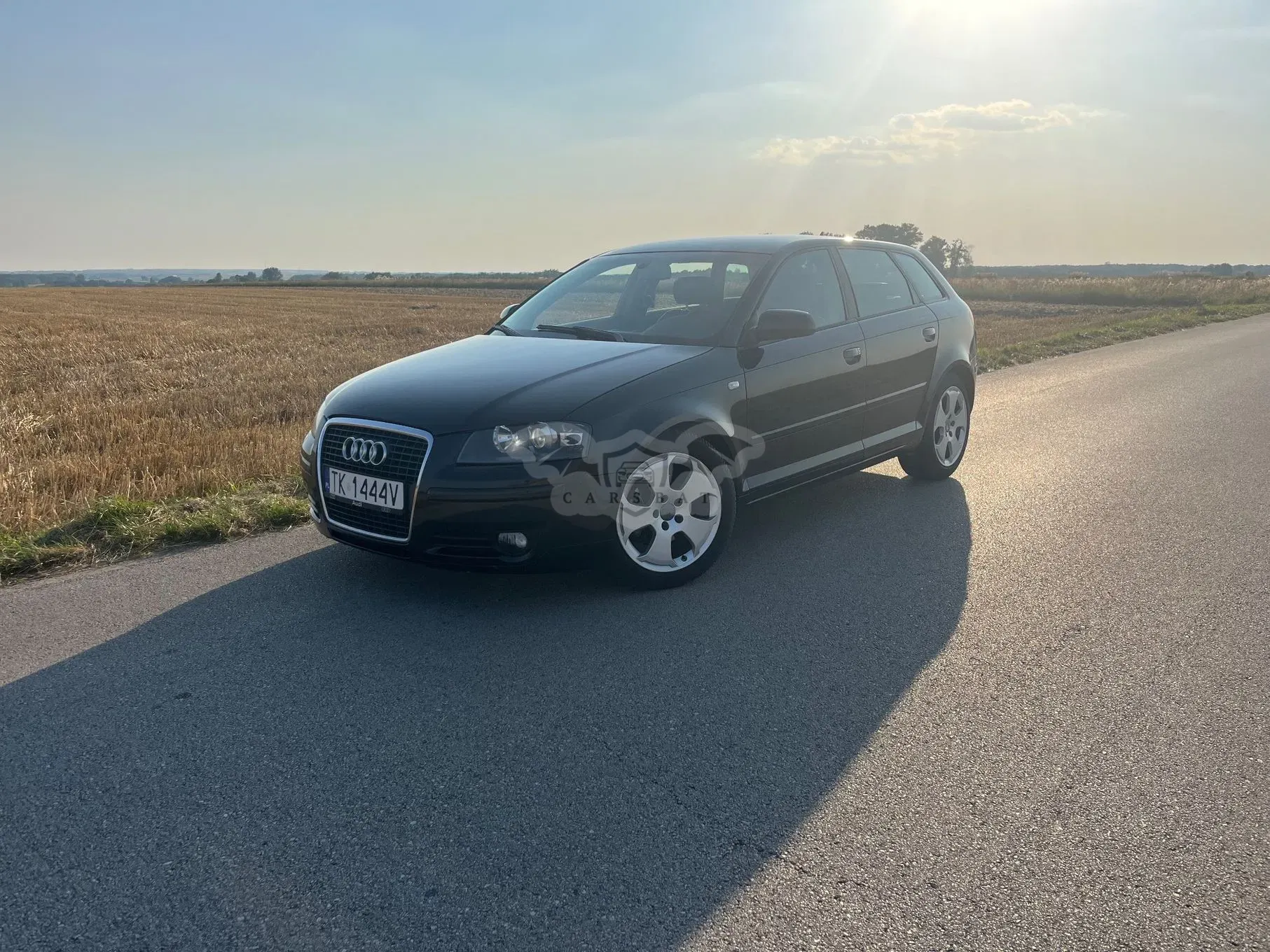 Audi A3 8P (2003-2012) 2.0 TDI DSG Ambition 2005