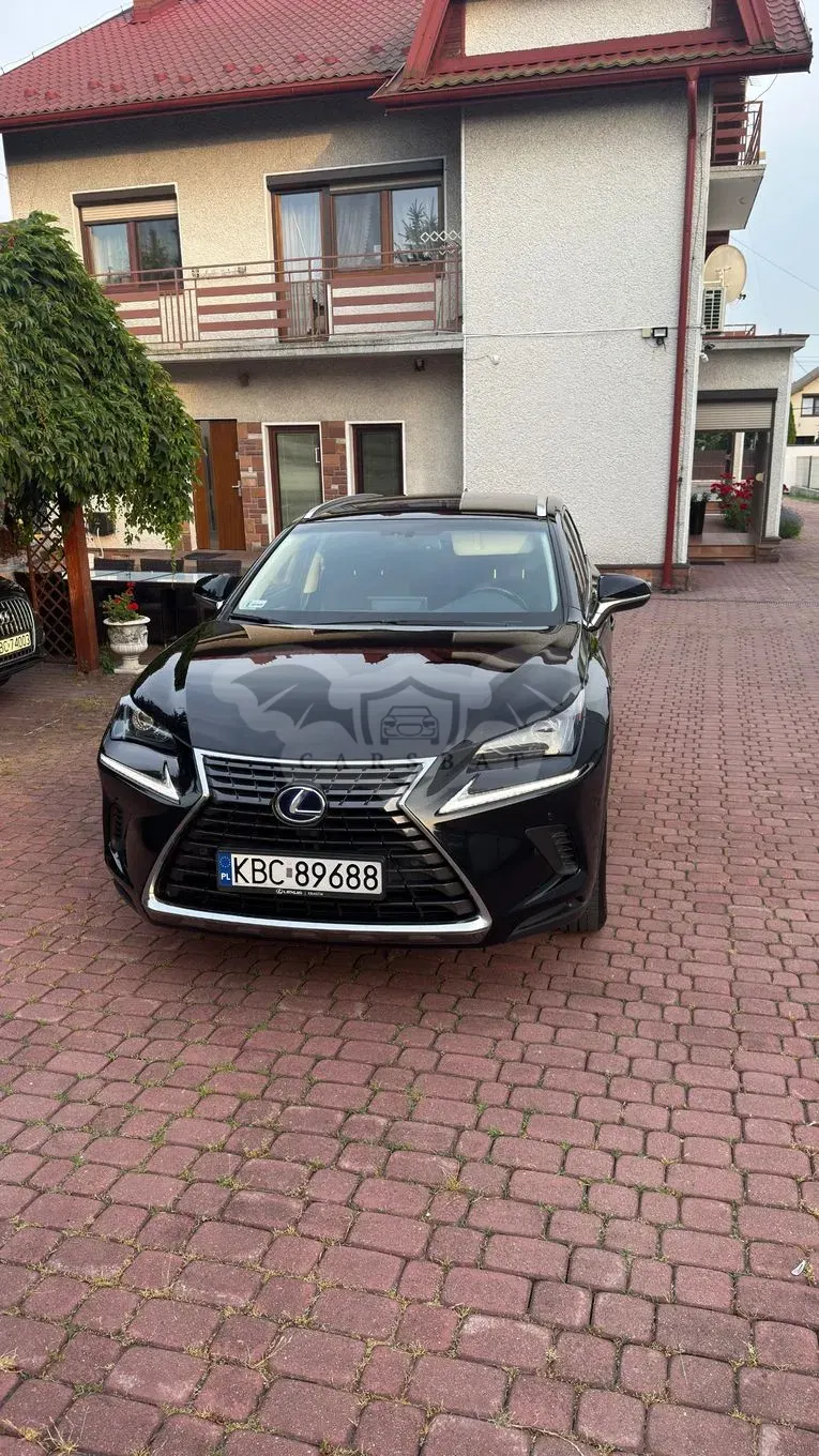 Lexus NX I (2014-2021) 300h Elegance + Business AWD 2018