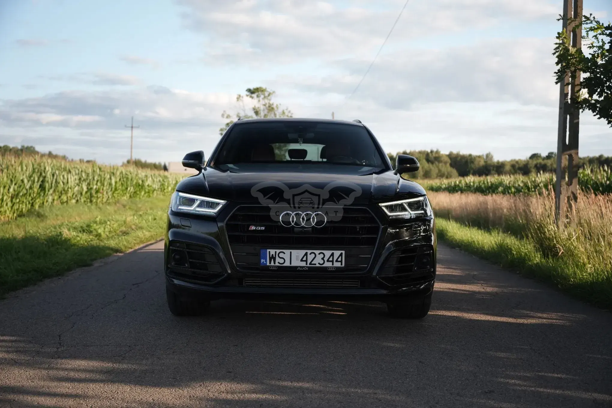 Audi SQ5 2020