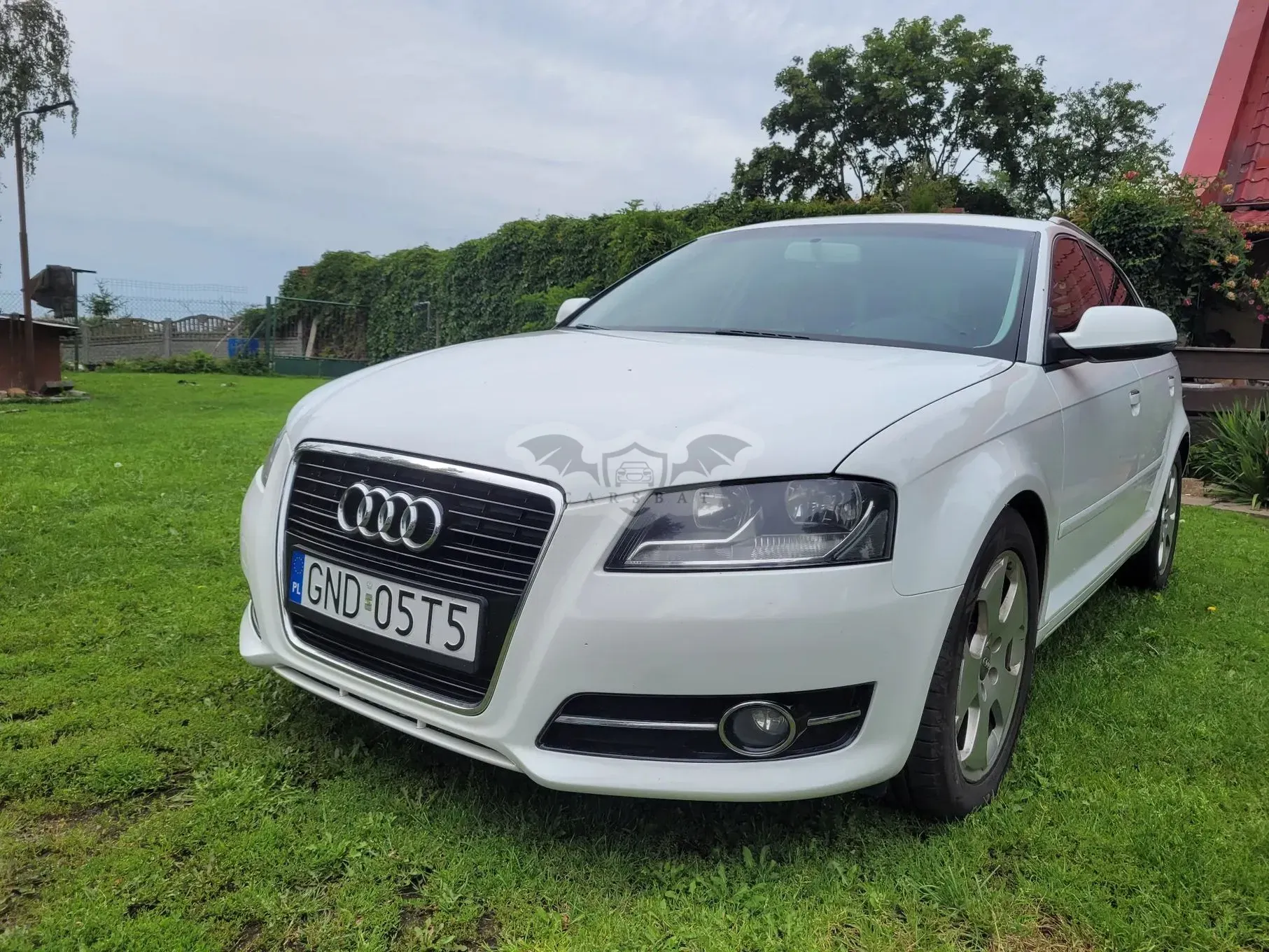 Audi A3 8P (2003-2012) 2011