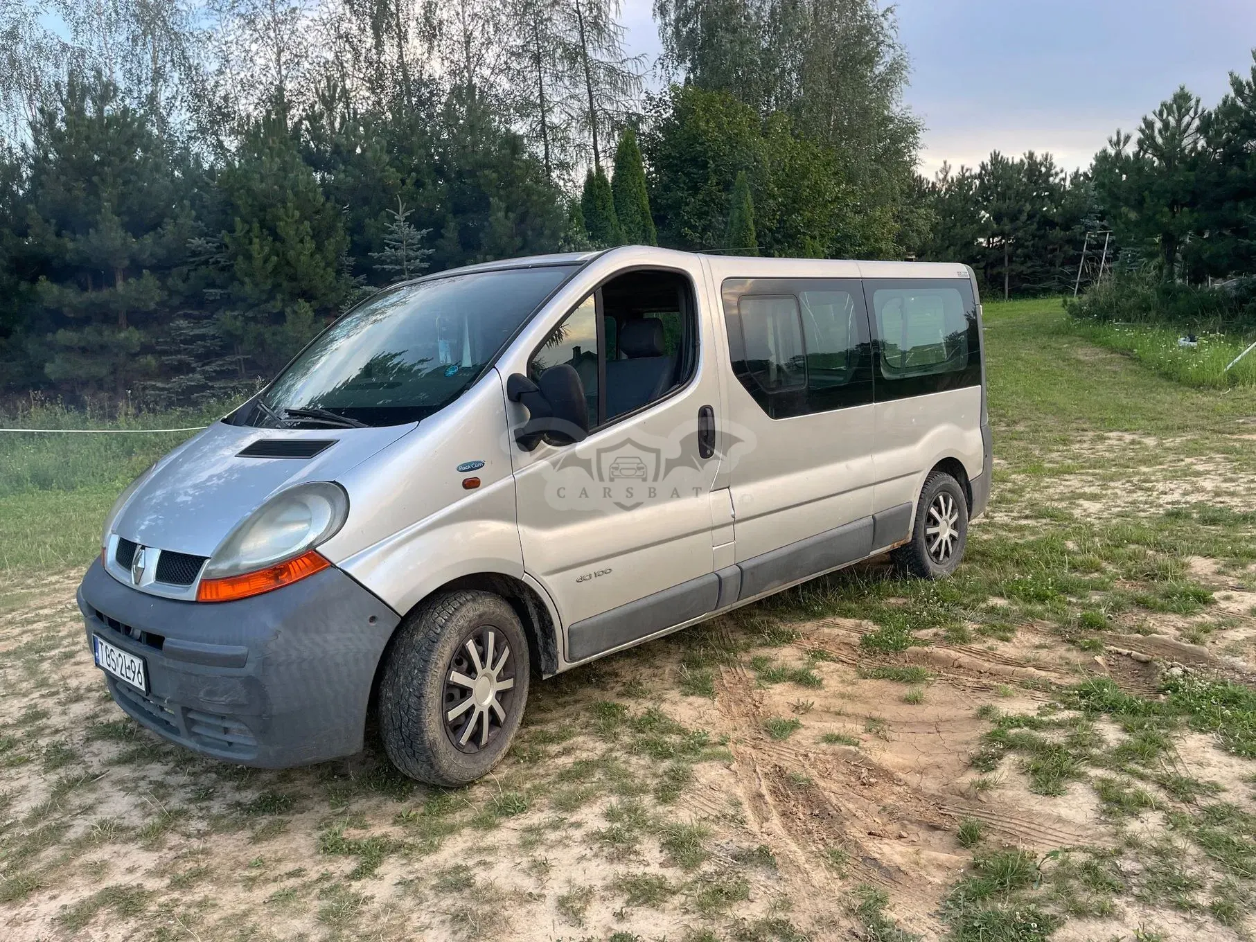 Renault Trafic II (2001-2014) Passenger 2006