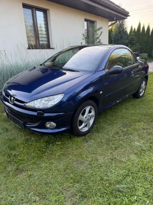 Peugeot 206 110 Platinum 2005