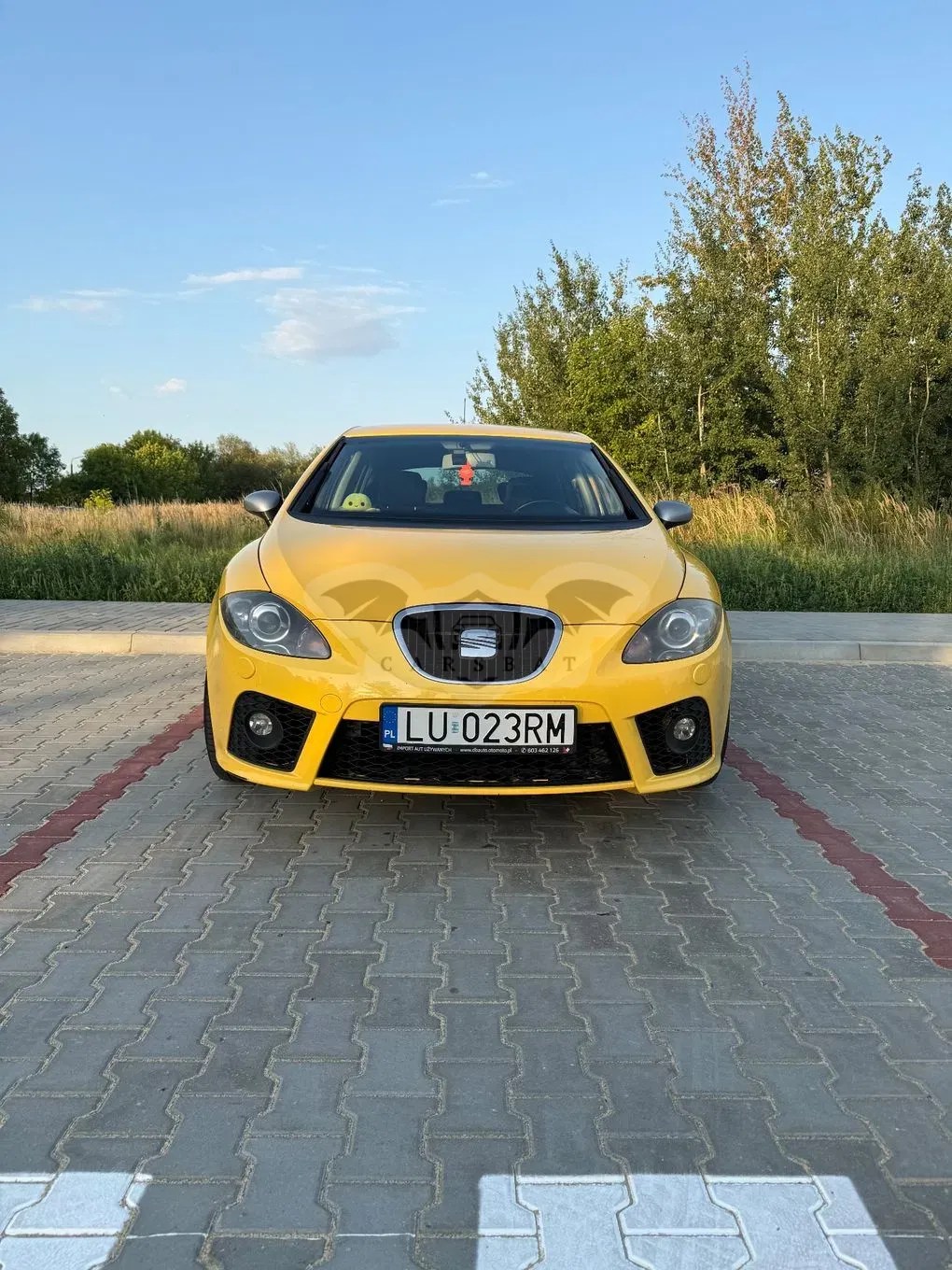 Seat Leon II (2005-2012) 2.0 T FSI FR 2006