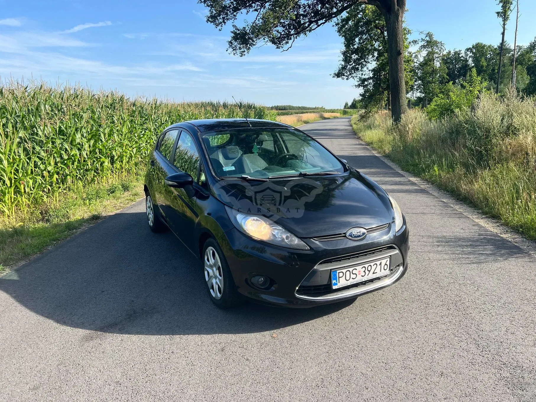 Ford Fiesta Mk7 (2008-) 1.4 TDCI 2009
