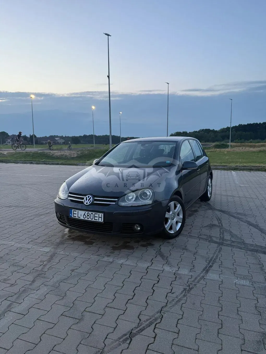 Volkswagen Golf V (2003-2009) 1.9 TDI Trendline 2006