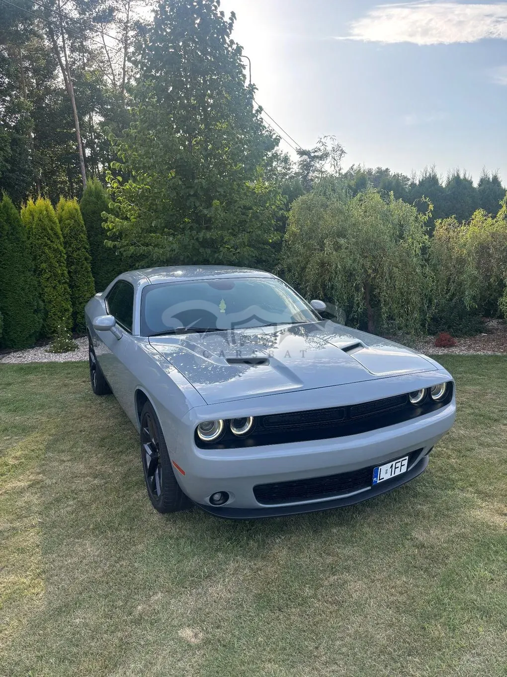 Dodge Challenger 3.6 SXT 2020