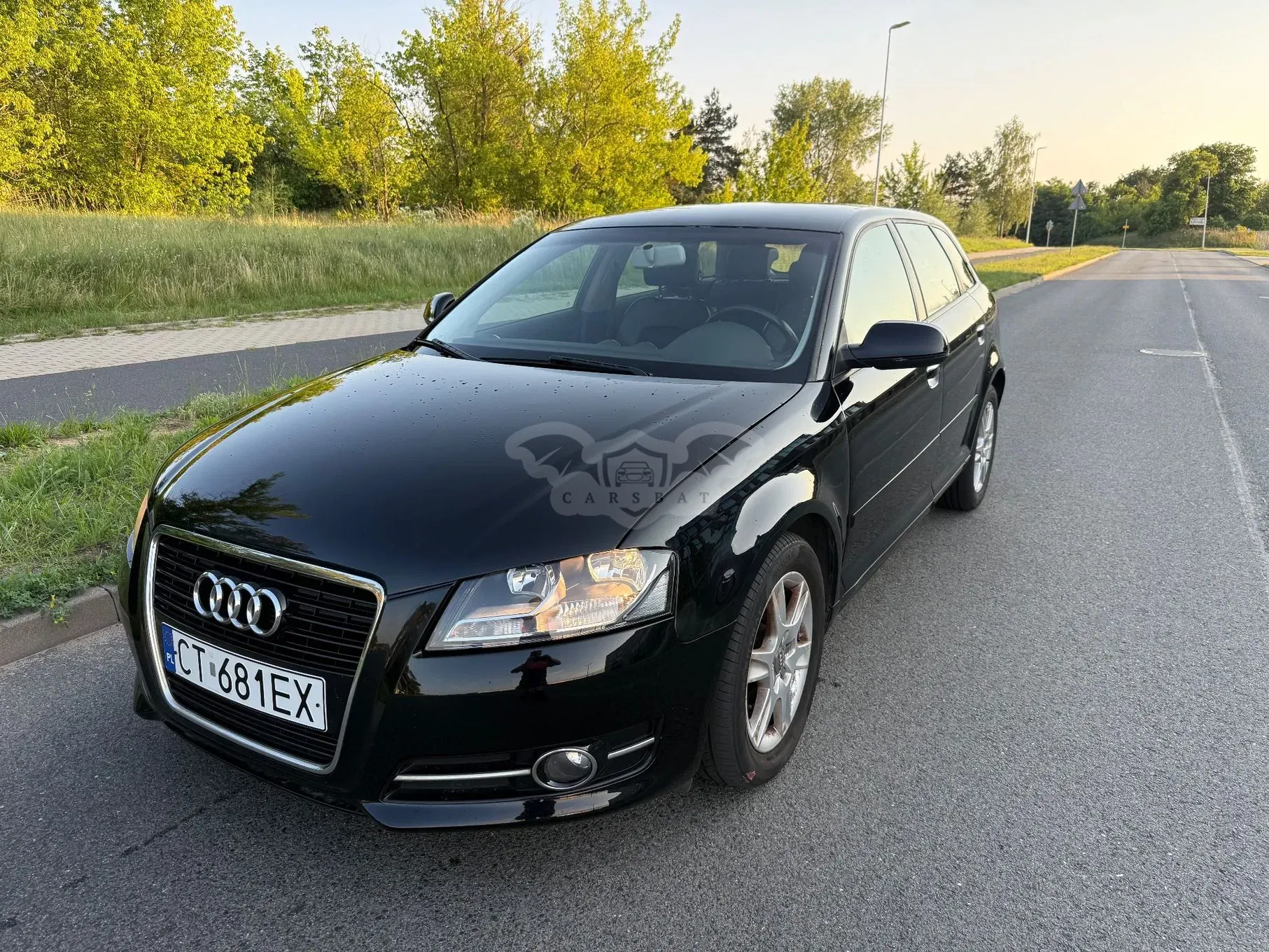 Audi A3 8P (2003-2012) 1.6 TDI DPF S tronic Ambiente 2011